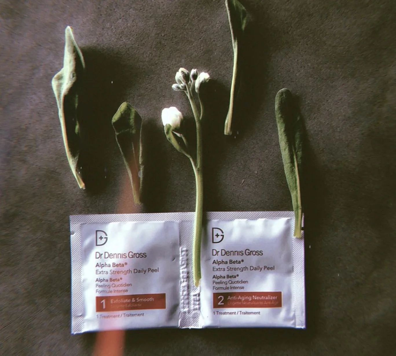 HOP APPROVED / @drdennisgross peel pads