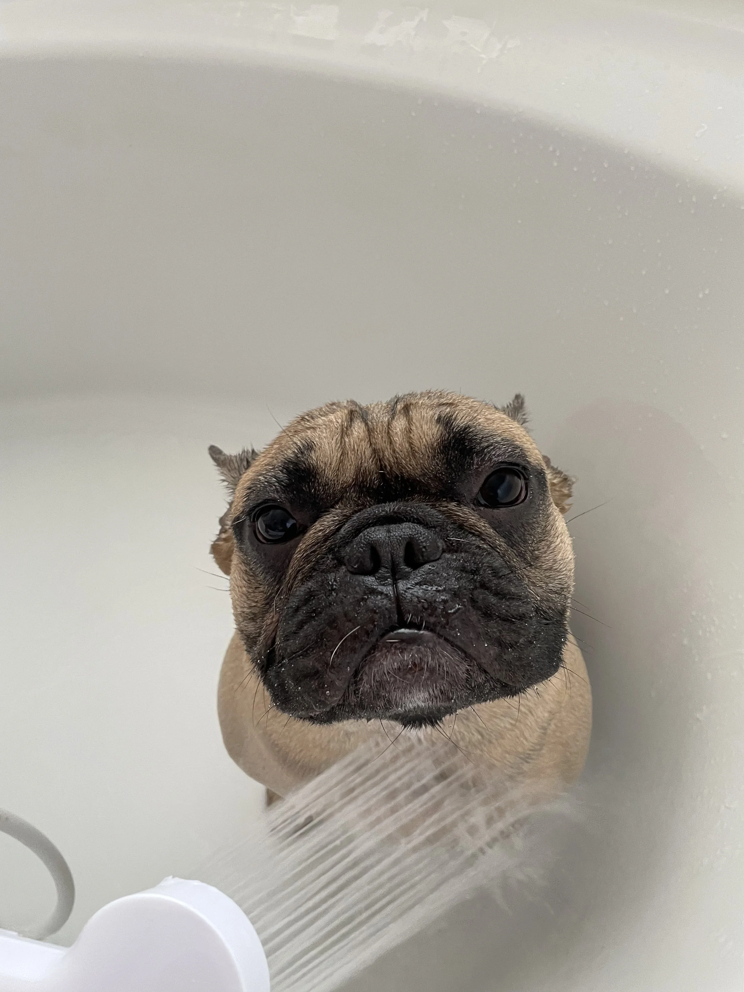 DexBath.JPG