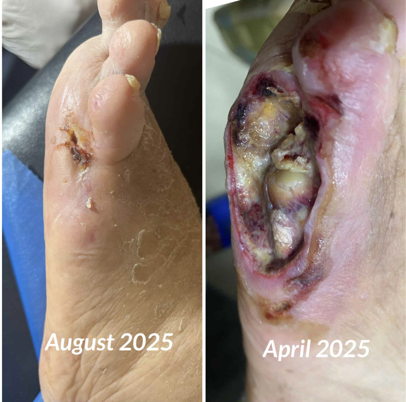 Screenshot 2026-03-18 at 1.31.51 PM.png