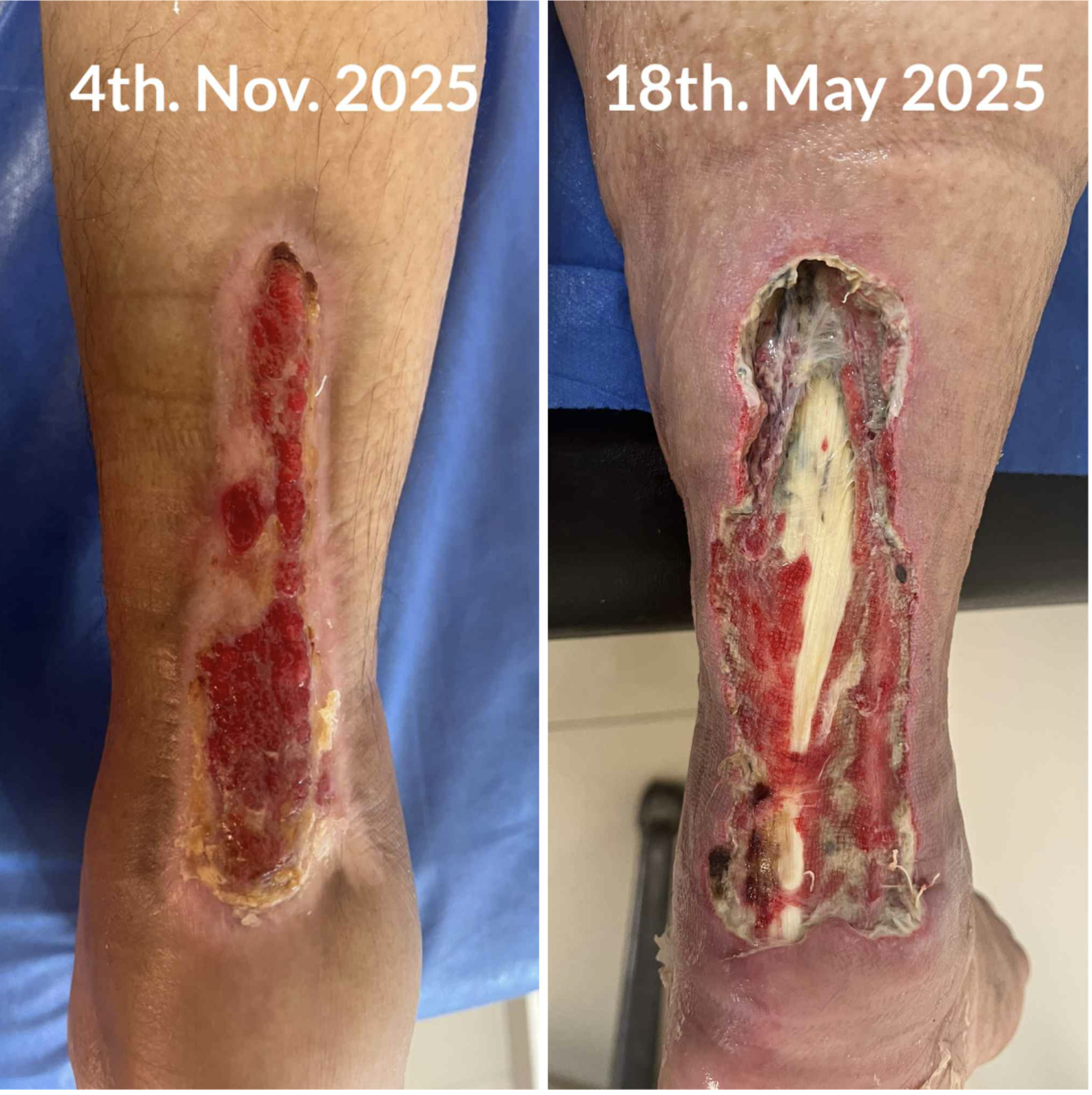 Screenshot 2026-03-18 at 1.33.06 PM.png