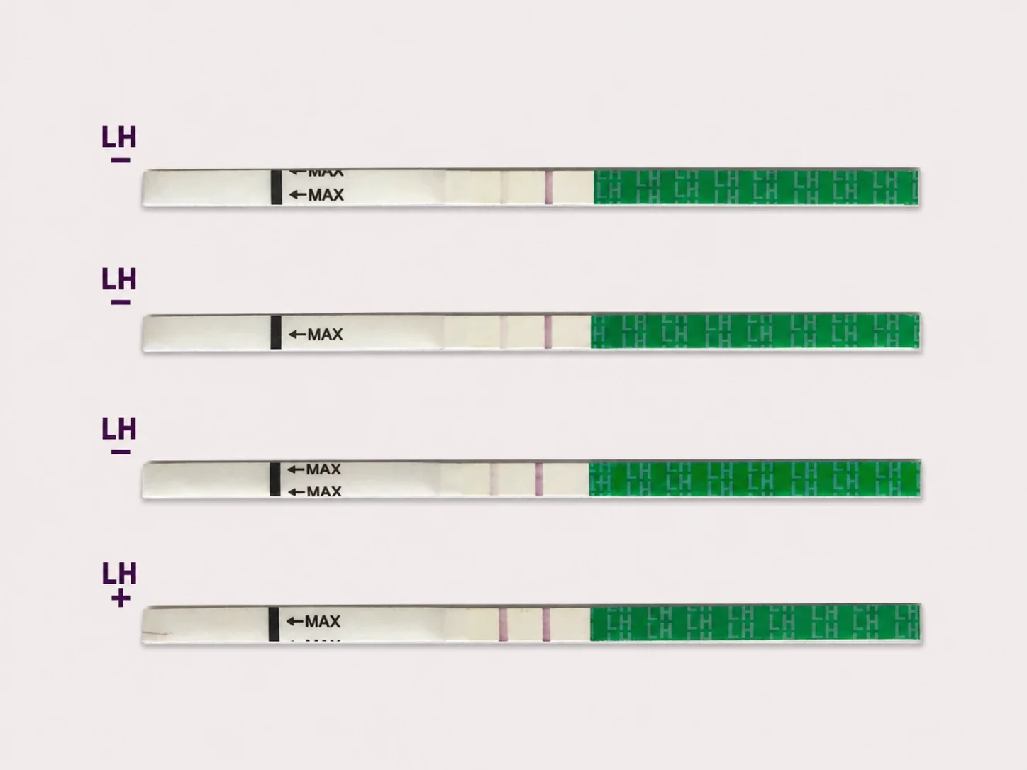 Beyond "Probably Ovulating": Restorative NeoFertility in Austin