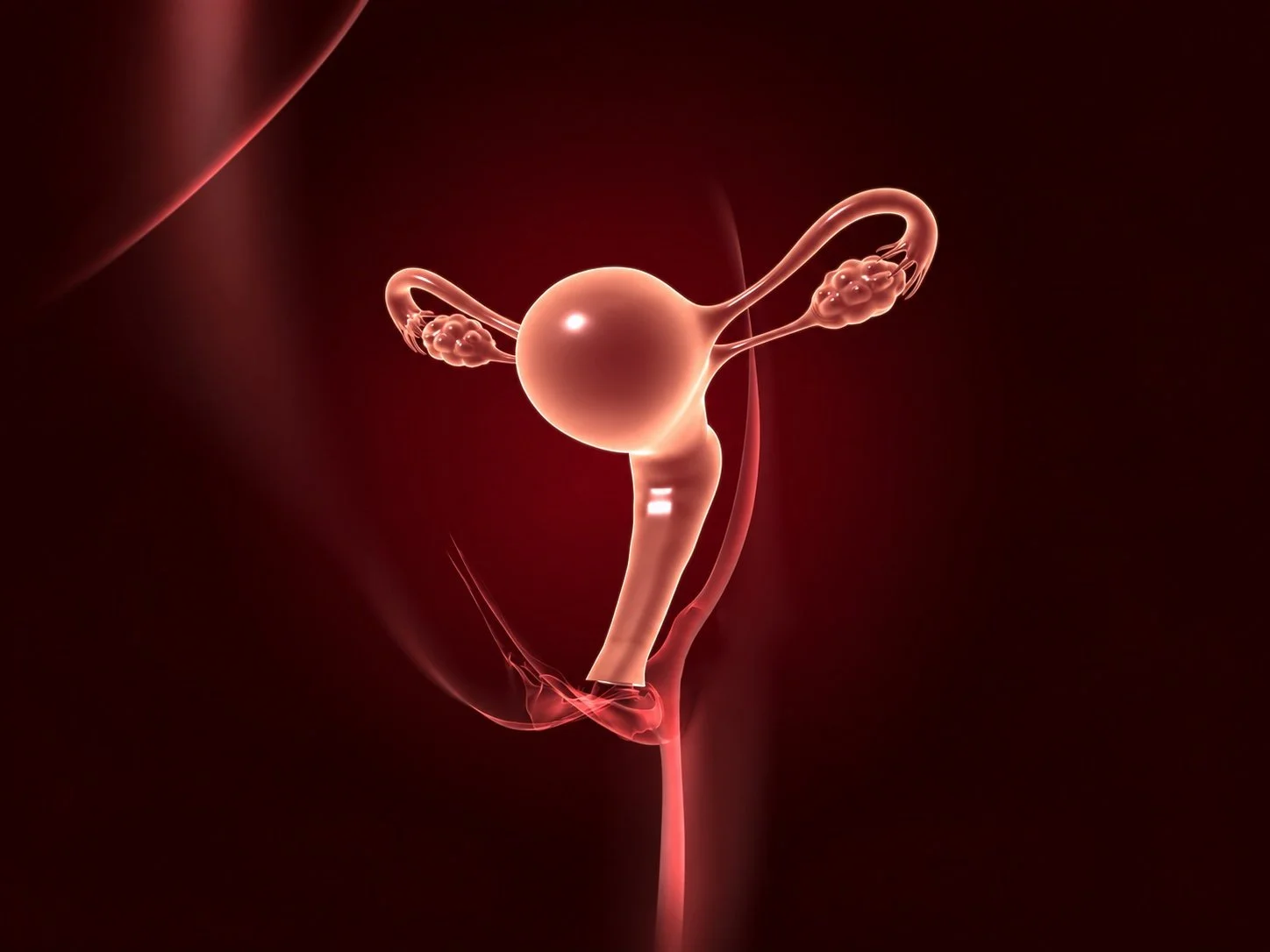Red Light Therapy and Fertility - Which Devices Deliver?