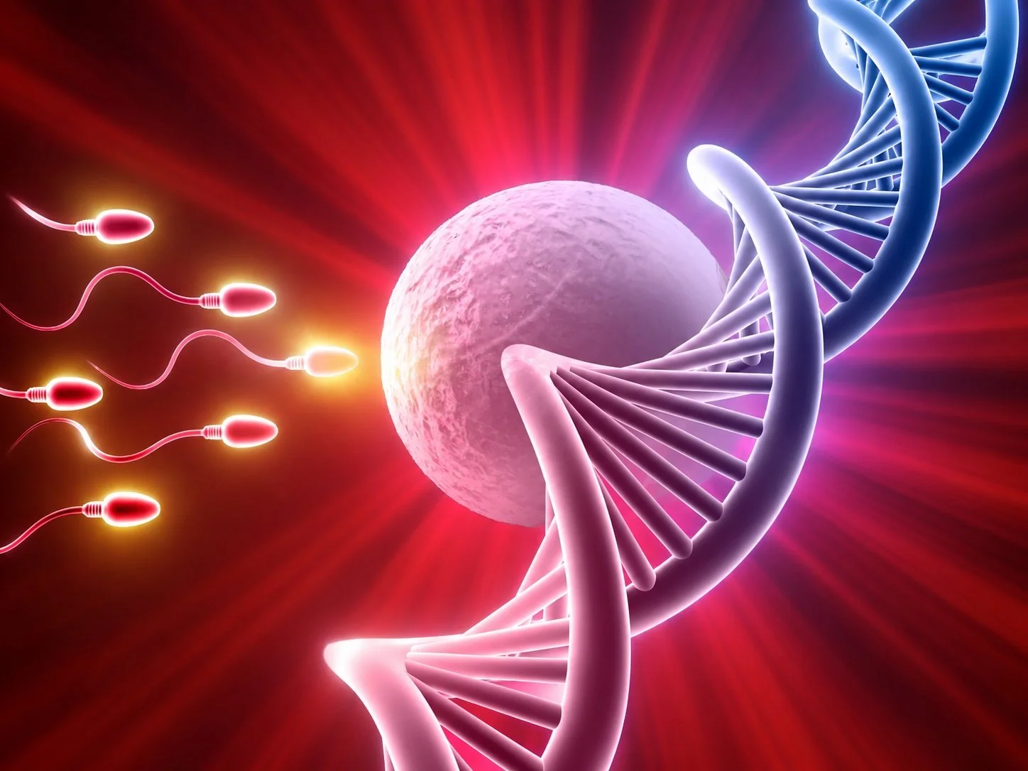 Red Light Therapy for Fertility - Is It Working?