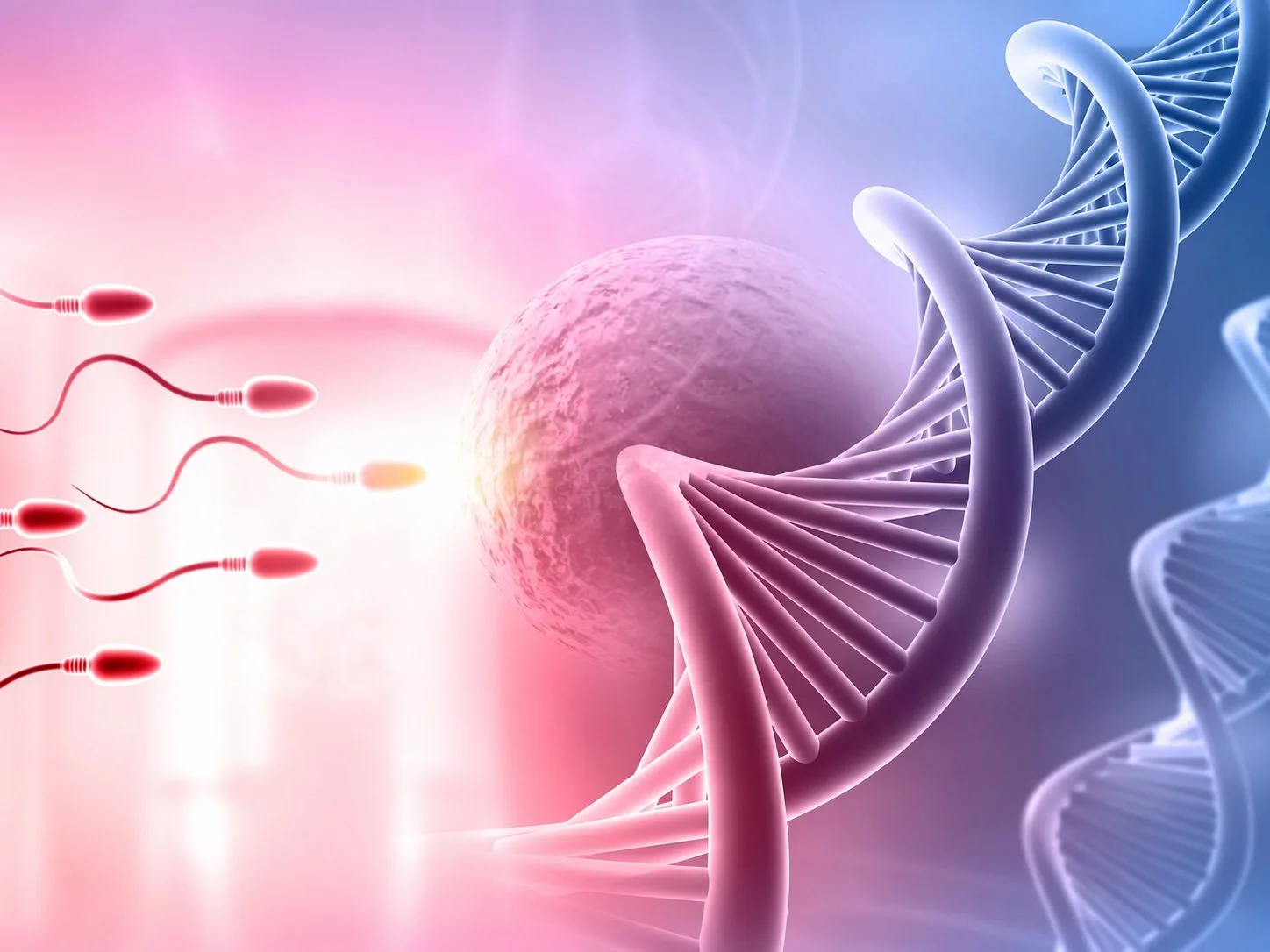 Is Testosterone Therapy Harming Your Chances of Conceiving?