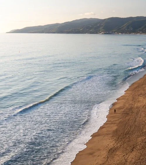 Malibu Case Study.jpg