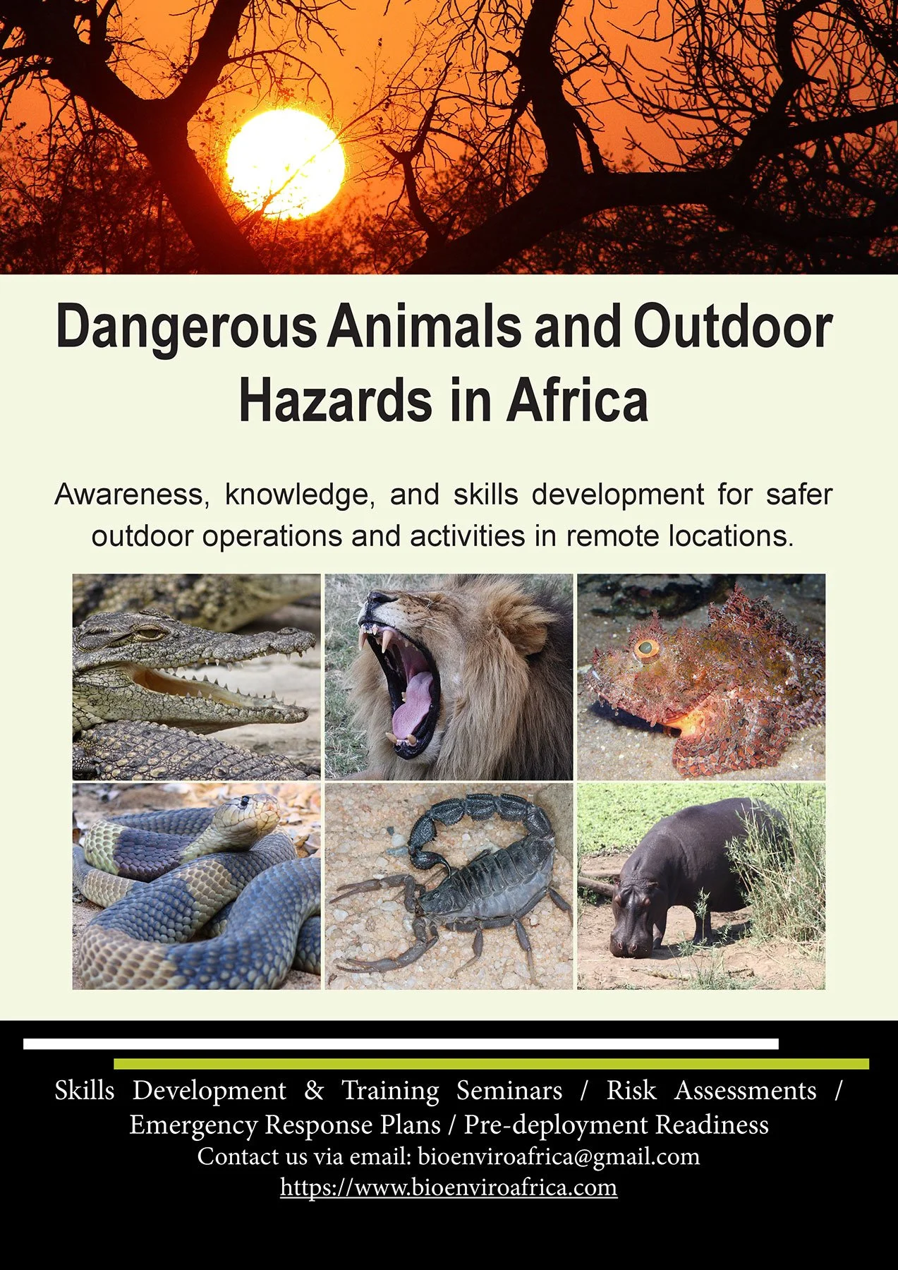 A flyer titled 'Dangerous Animals and Outdoor Hazards in Africa' with a sunset behind leafless trees at the top. The flyer includes images of various animals including a crocodile, lion, octopus, snake, scorpion, and a hippopotamus, with additional information about skills development, risk assessments, and contact details for bioenviron Africa.