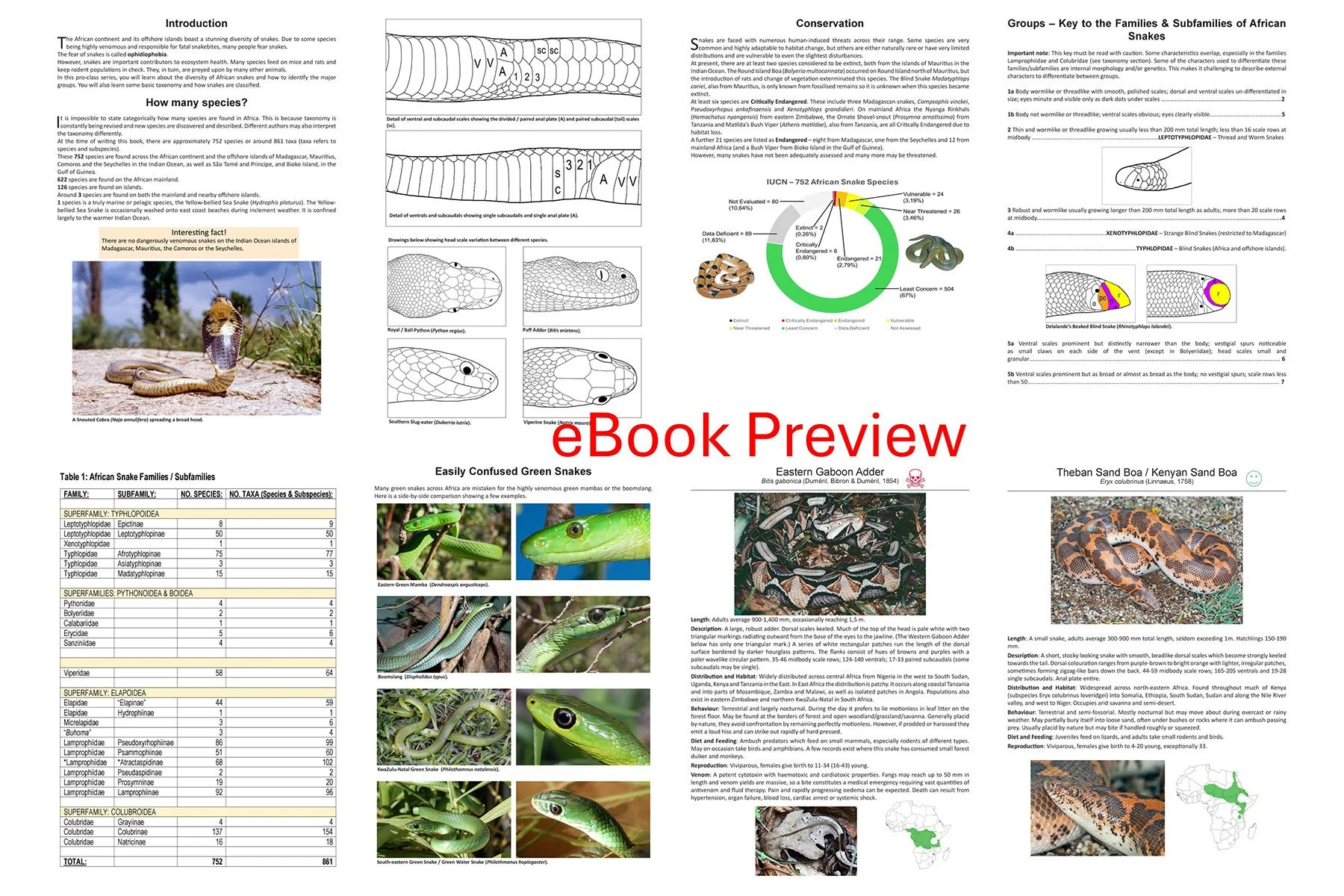Snakes of Africa-eBook Preview -Biodiversity & Environment Africa.jpg
