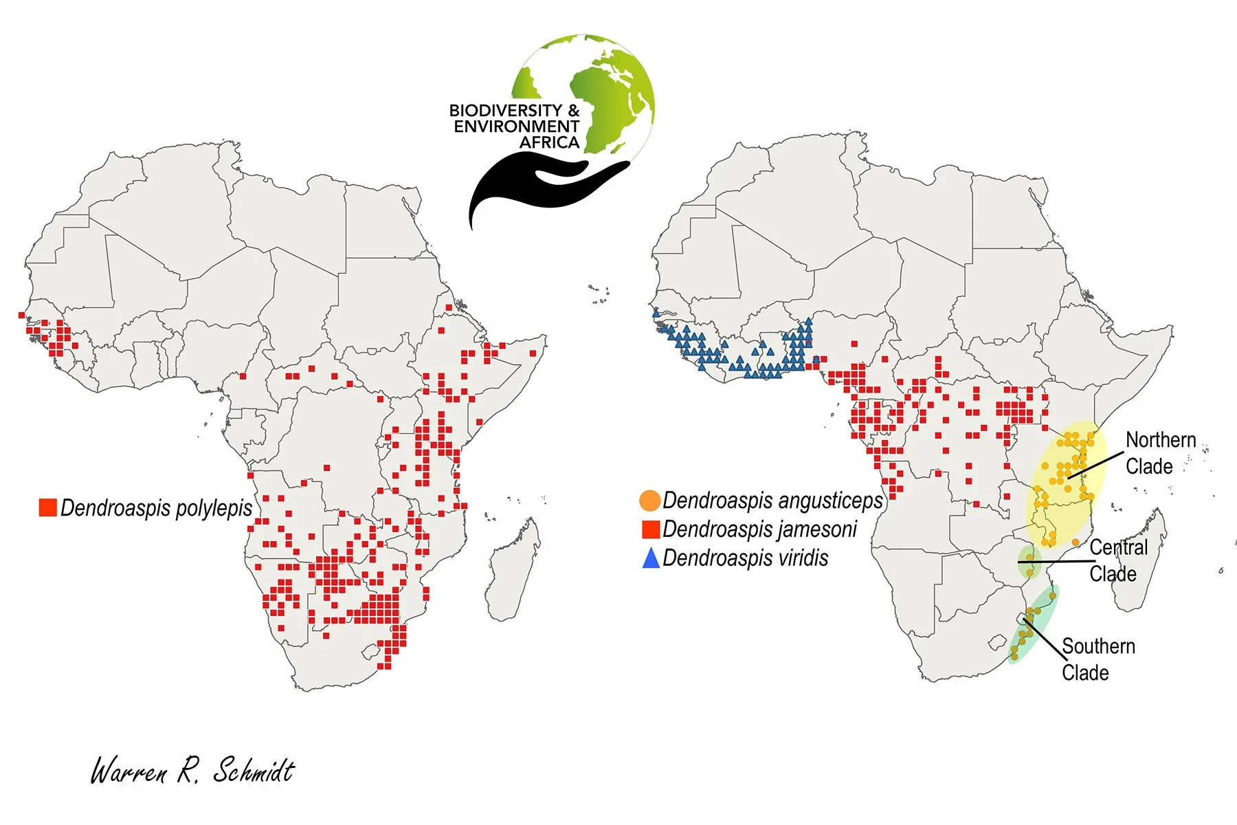 Distribution of Mamba snakes in Africa