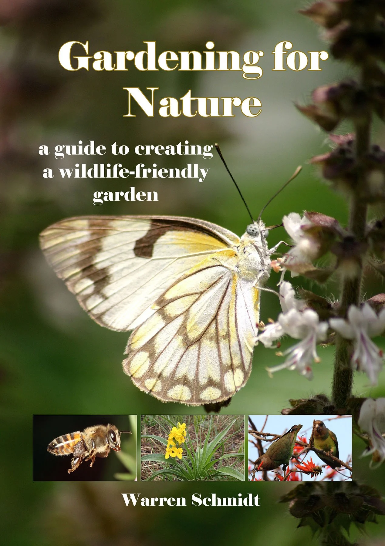 Gardening for nature – a guide to creating a wildlife-friendly garden