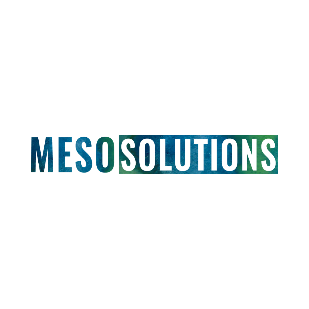 Meso-Solutions_Buoy-client.png