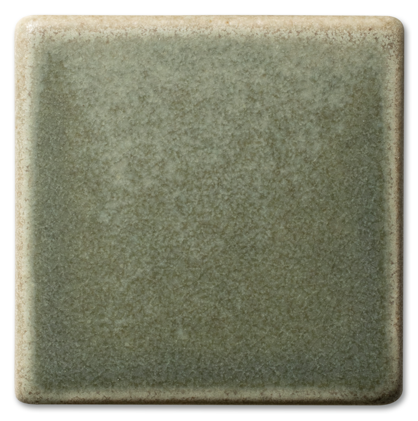 5200_Lichen_Single.png