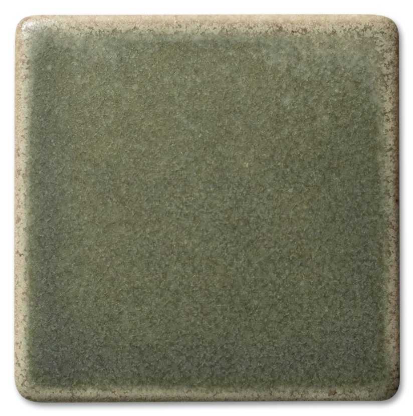 5200_Lichen.webp