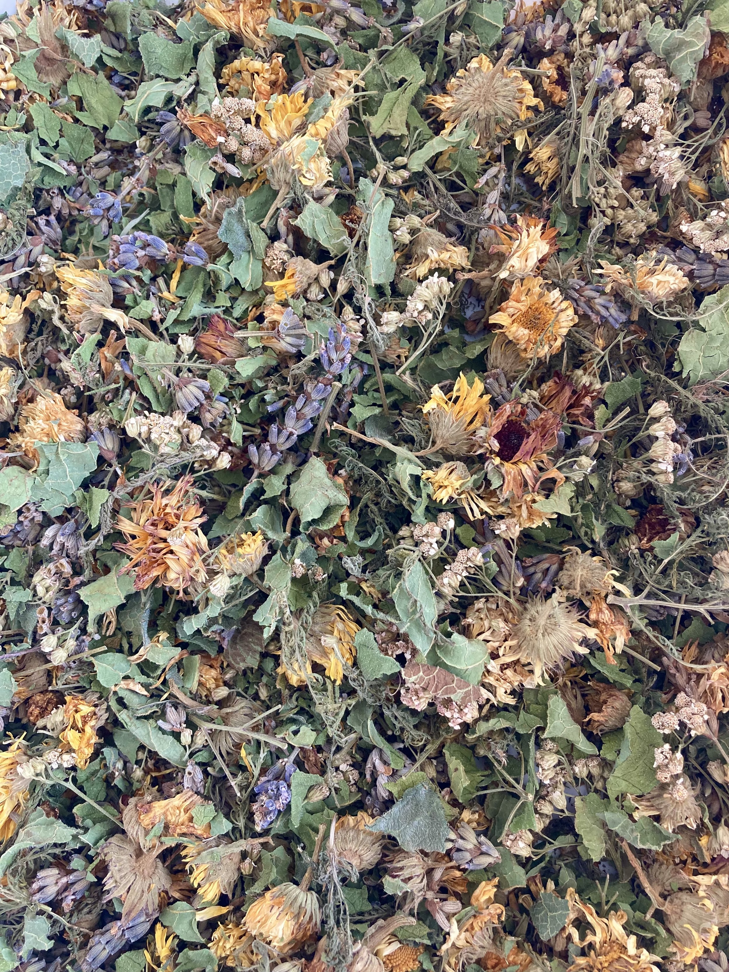 IMG_0329.jpeg