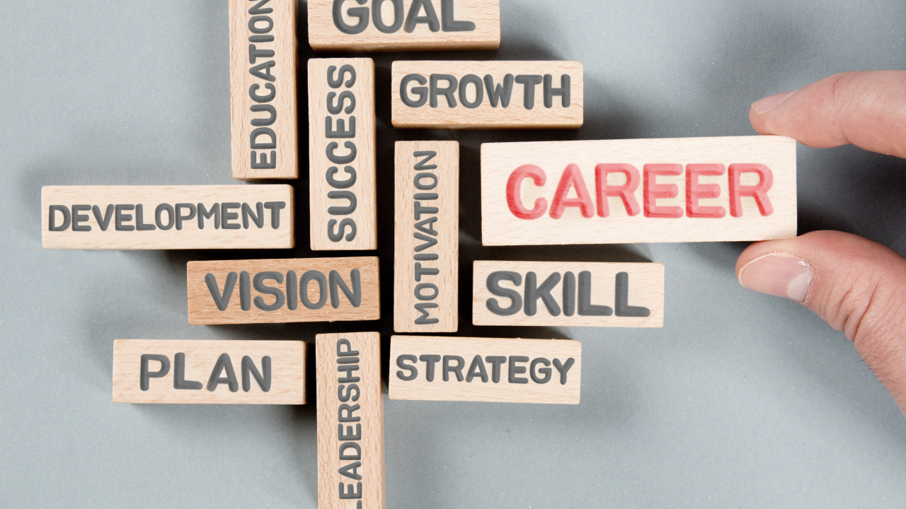 What is a Career Life Coach?