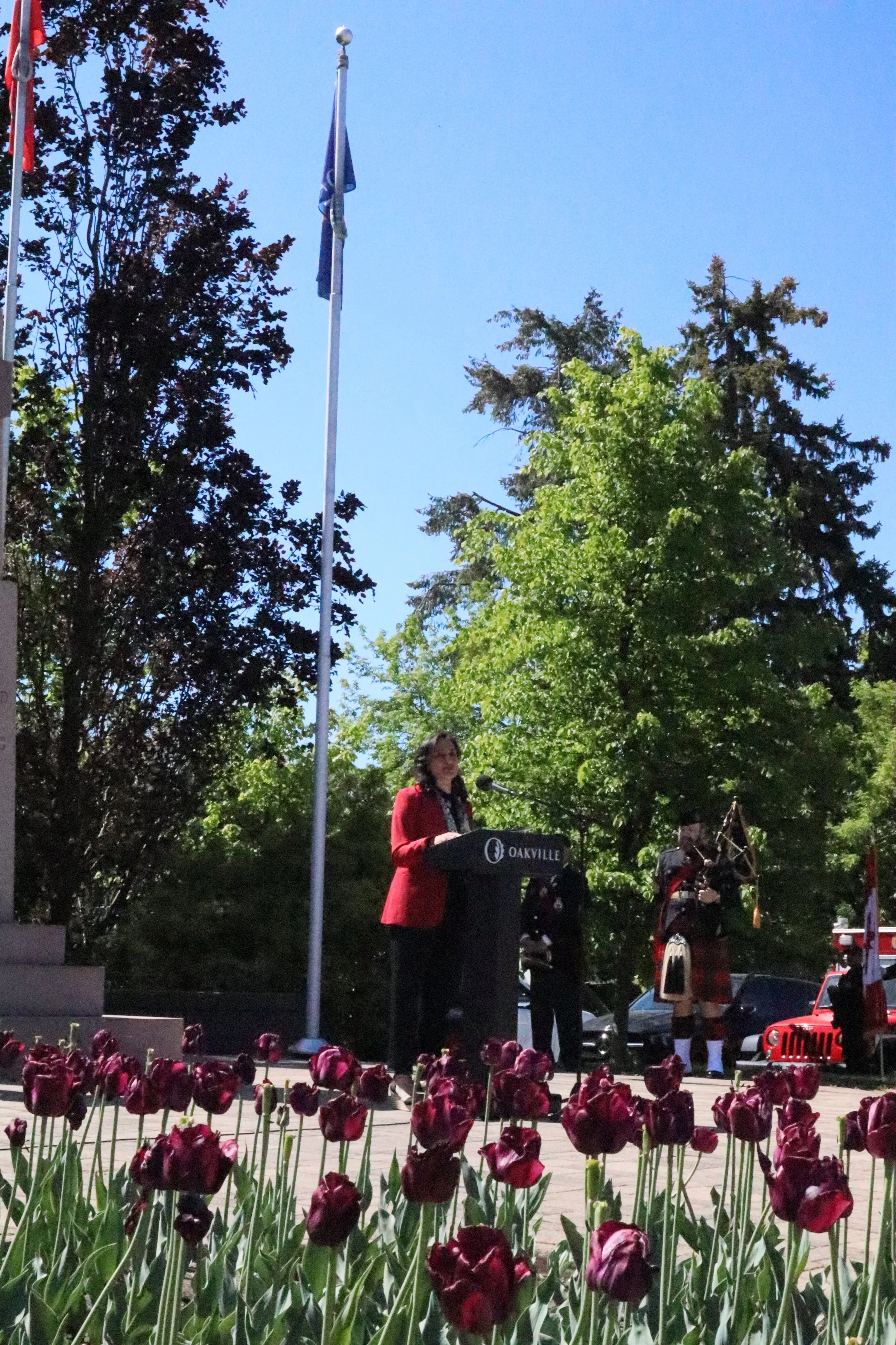 Newsletter - June 3, 2026