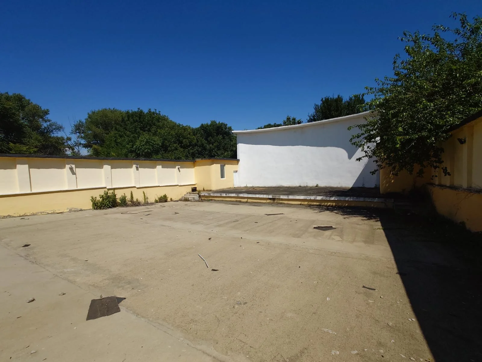 WhatsApp Image 2024-06-18 at 19.02.07.jpeg