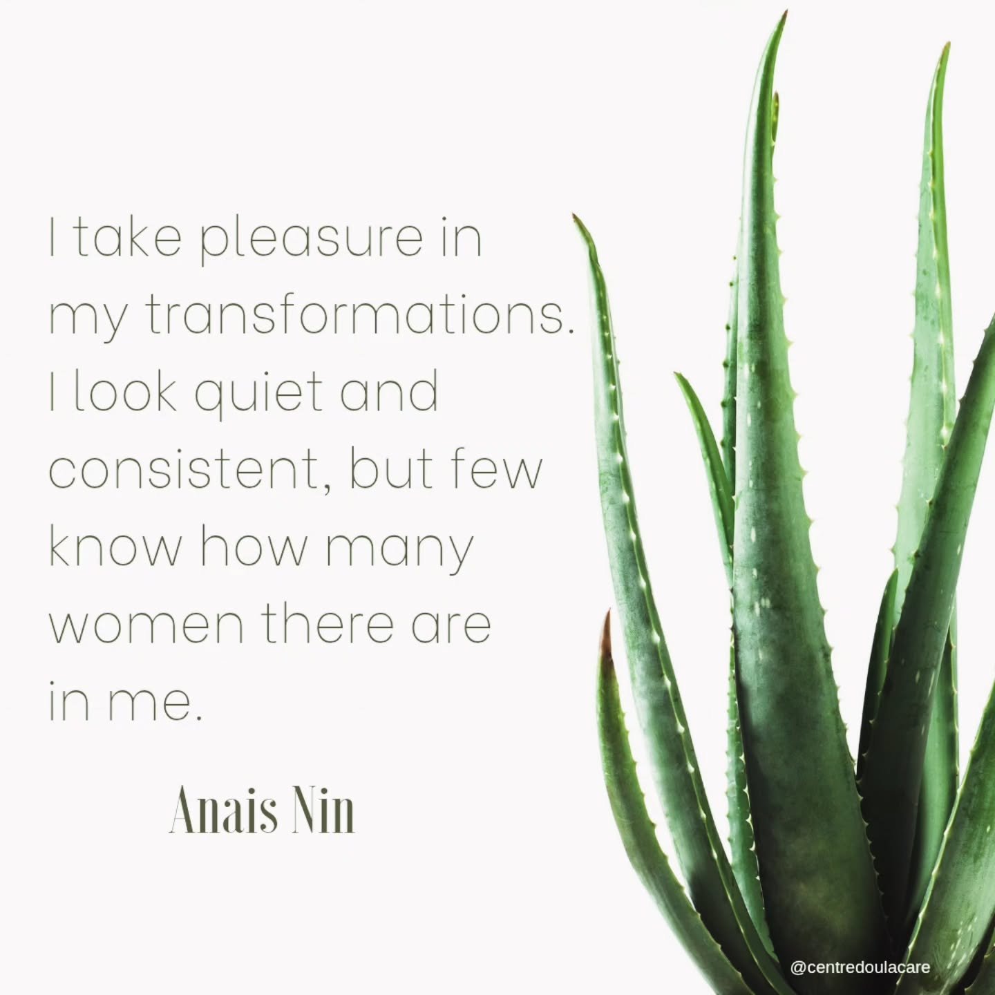 I was recently asked about my Fav quote. This is it! 🌻  I feel seen. ❤️

Does this resonate with you?

- -
#centredoulacare #doulasupport
#pregnancycare #parentingjourney 
#fyp #explorepage
#selfgrowth #selftransformation
#selflove #selfcare 
#wellb