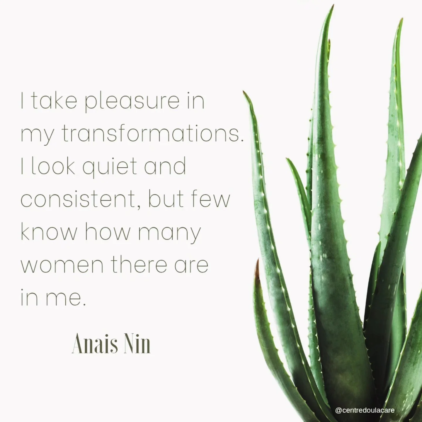 I was recently asked about my Fav quote. This is it! 🌻  I feel seen. ❤️

Does this resonate with you?

- -
#centredoulacare #doulasupport
#pregnancycare #parentingjourney 
#fyp #explorepage
#selfgrowth #selftransformation
#selflove #selfcare 
#wellb
