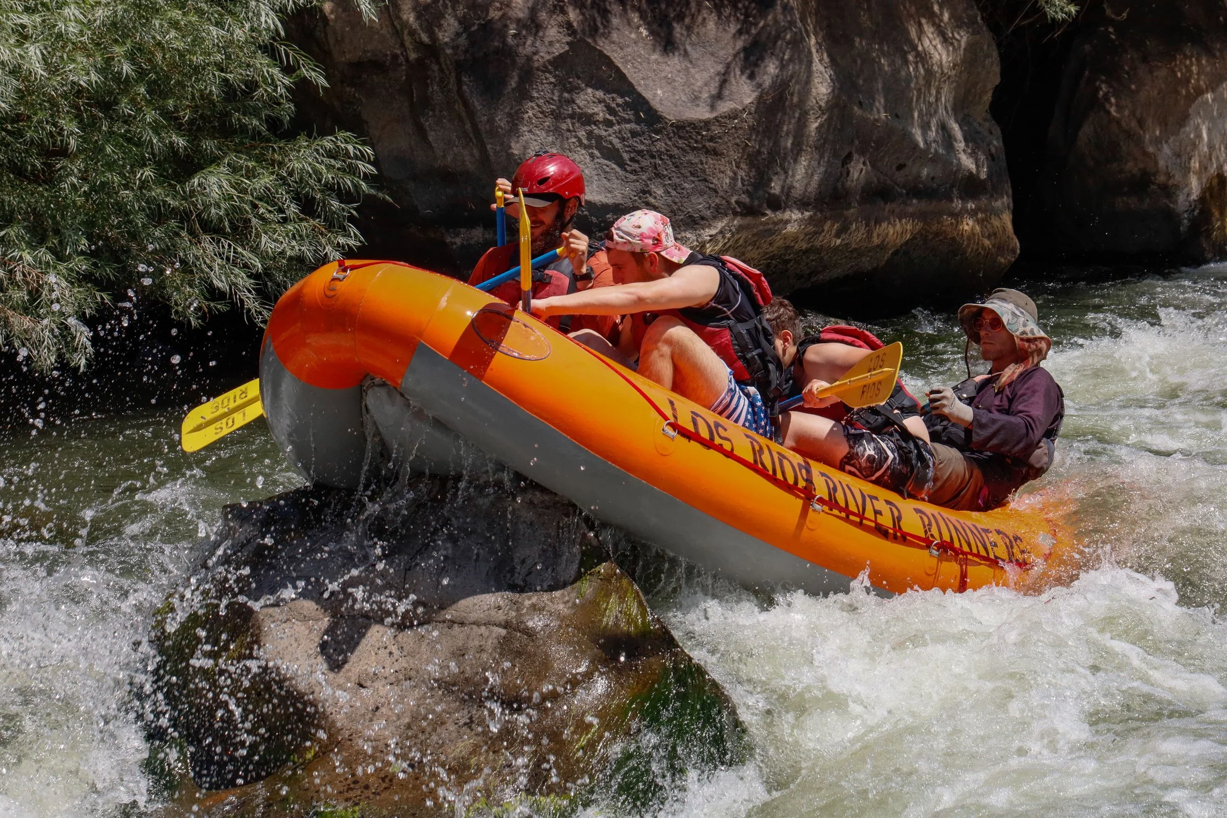 WhatsApp Image 2024-09-04 at 12.26.59_452a219c.jpg