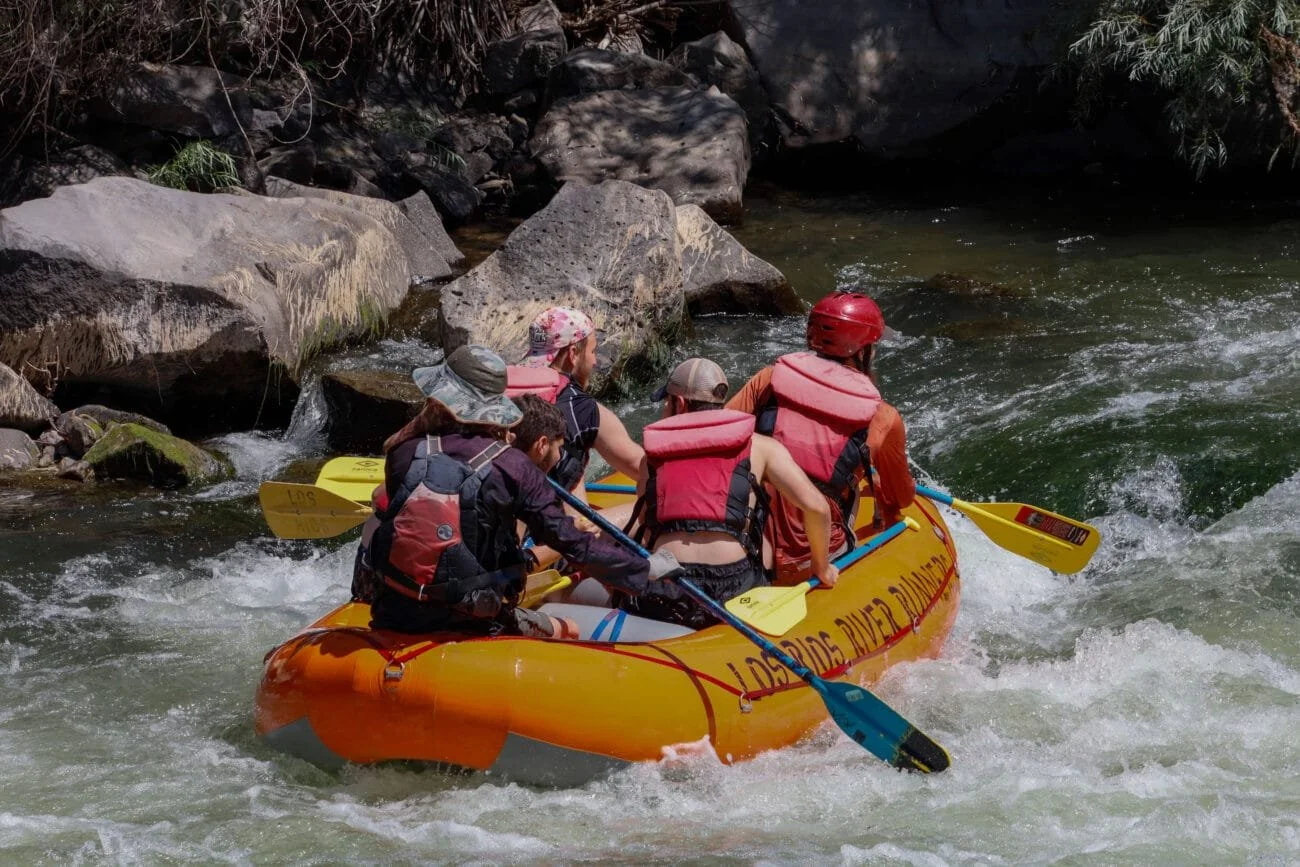 WhatsApp Image 2024-09-04 at 12.26.59_9854622f.jpg