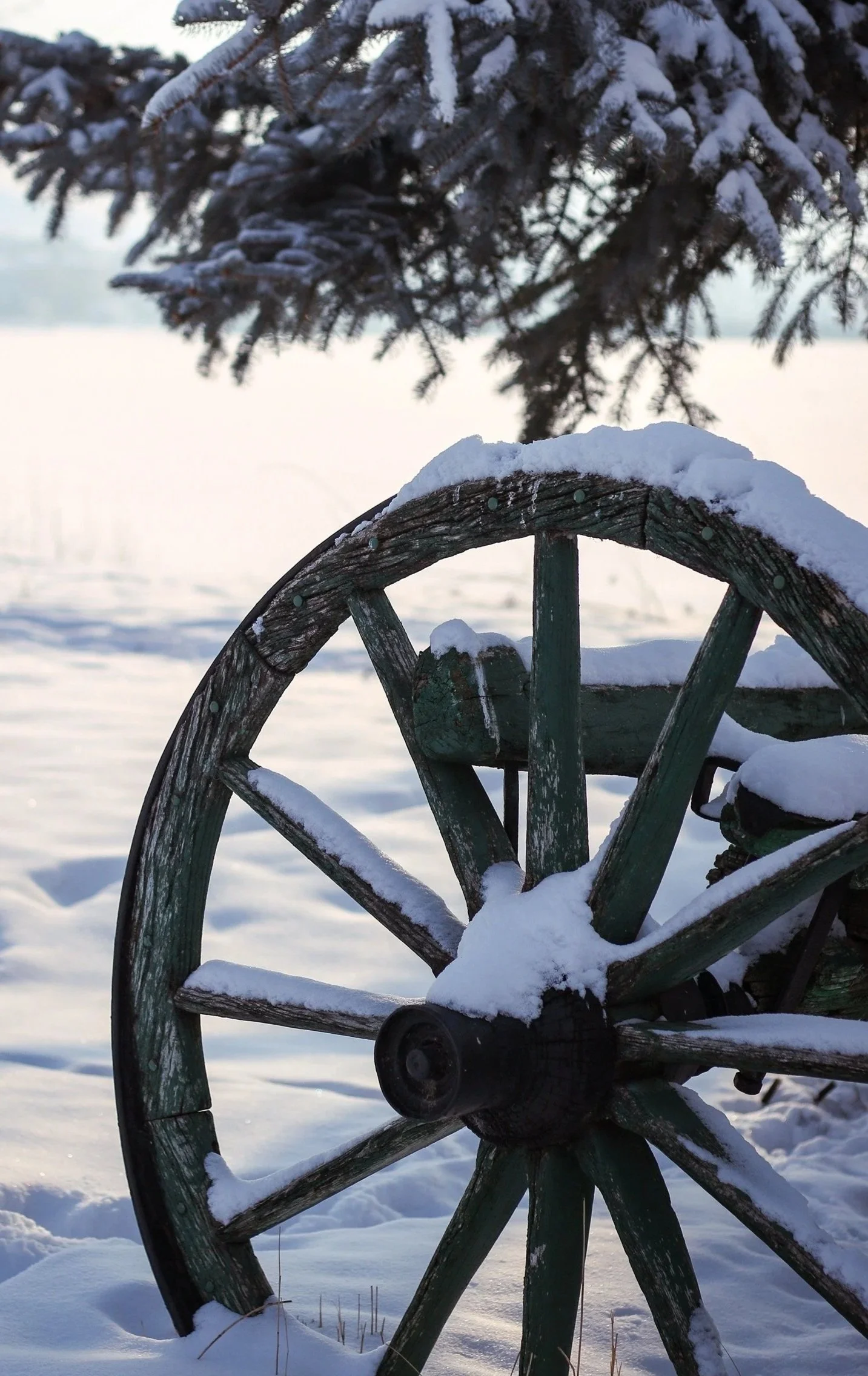 Picture of an old, faded green wooden wagon wheel up close during a sunny winters day. There is accumulated snow on the wheel as well as the ground around it. There is a conifer tree above the wheel with snow on the limbs.