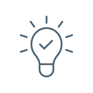 Icon showing an outline of a light bulb with a checkmark inside, surrounded by rays of light, representing an idea or innovation.