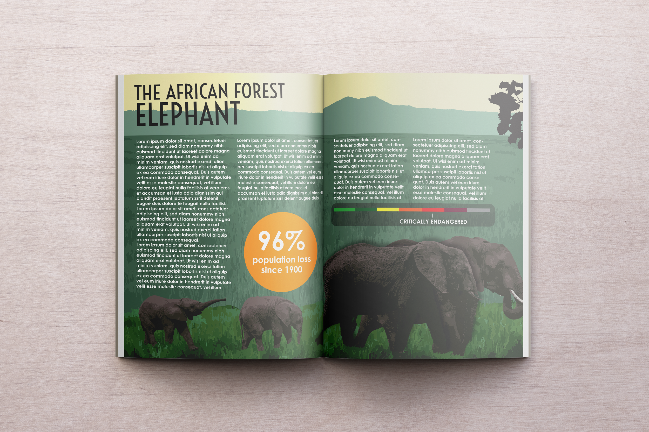 Elephant Infographic