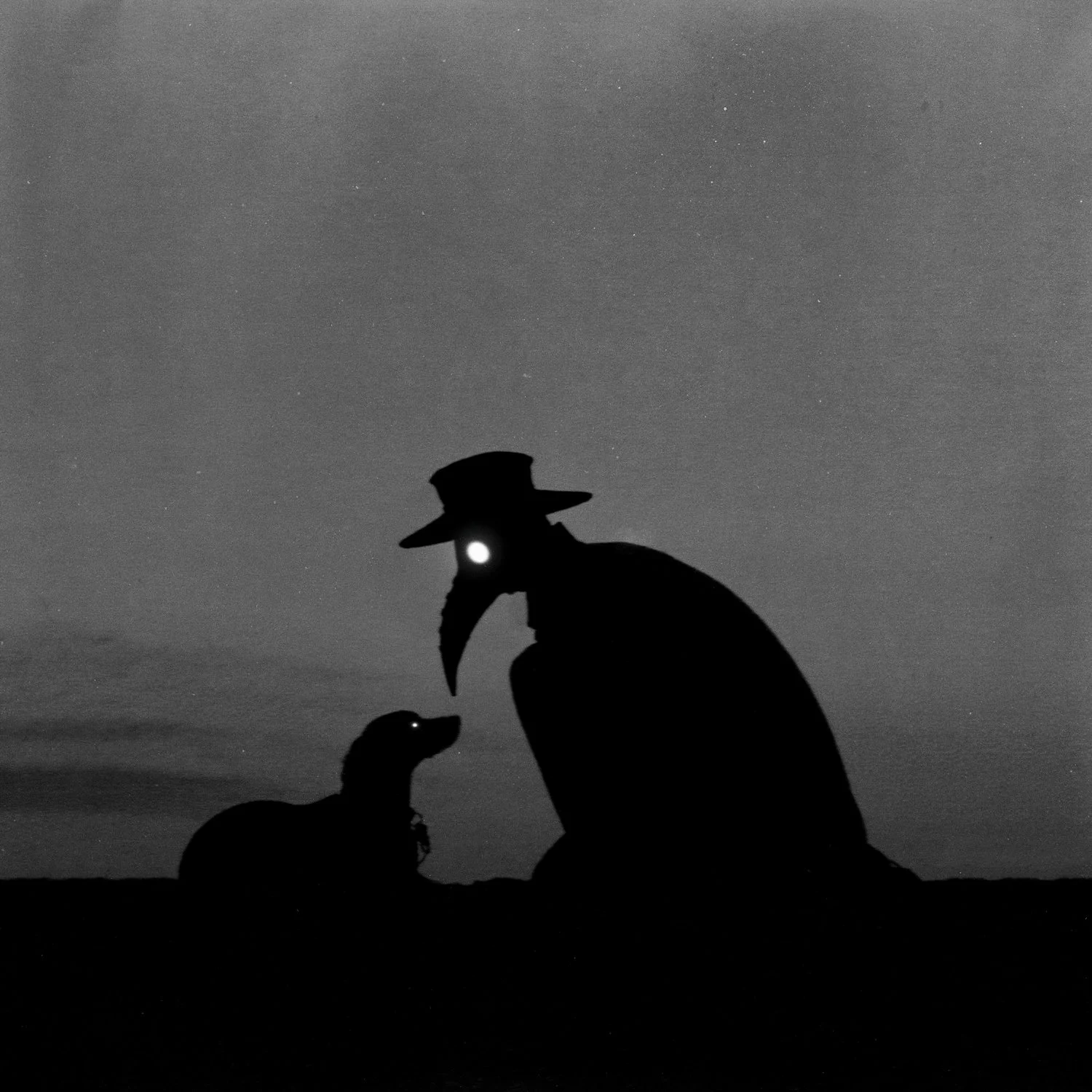 Perro de ceniza, 2026, Lucas Garcete ©