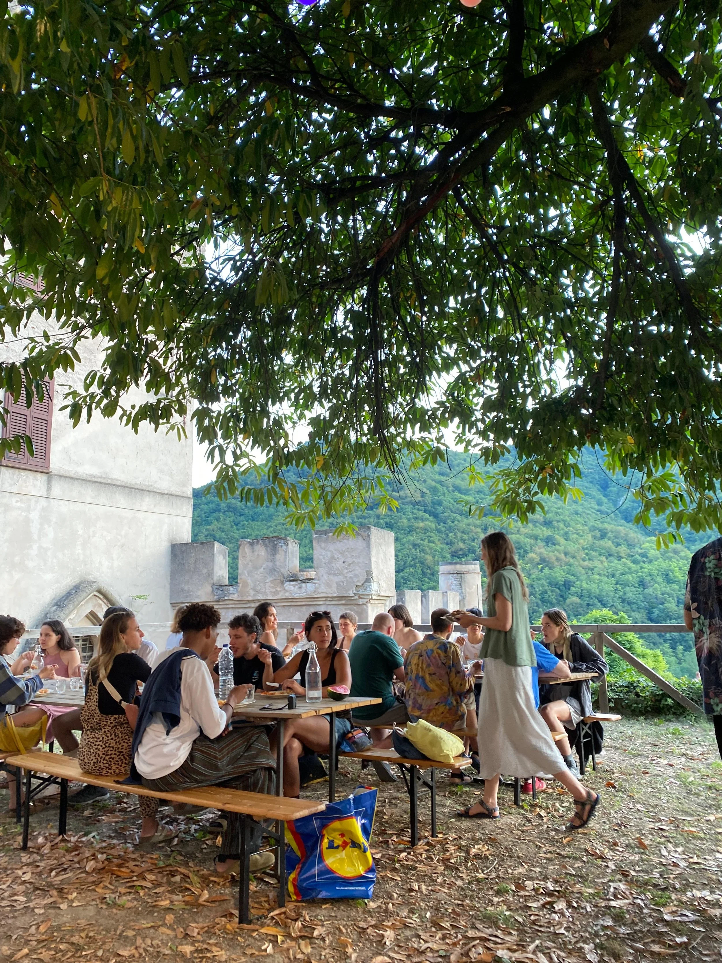 WhatsApp Image 2025-07-30 at 10.42.24.jpeg