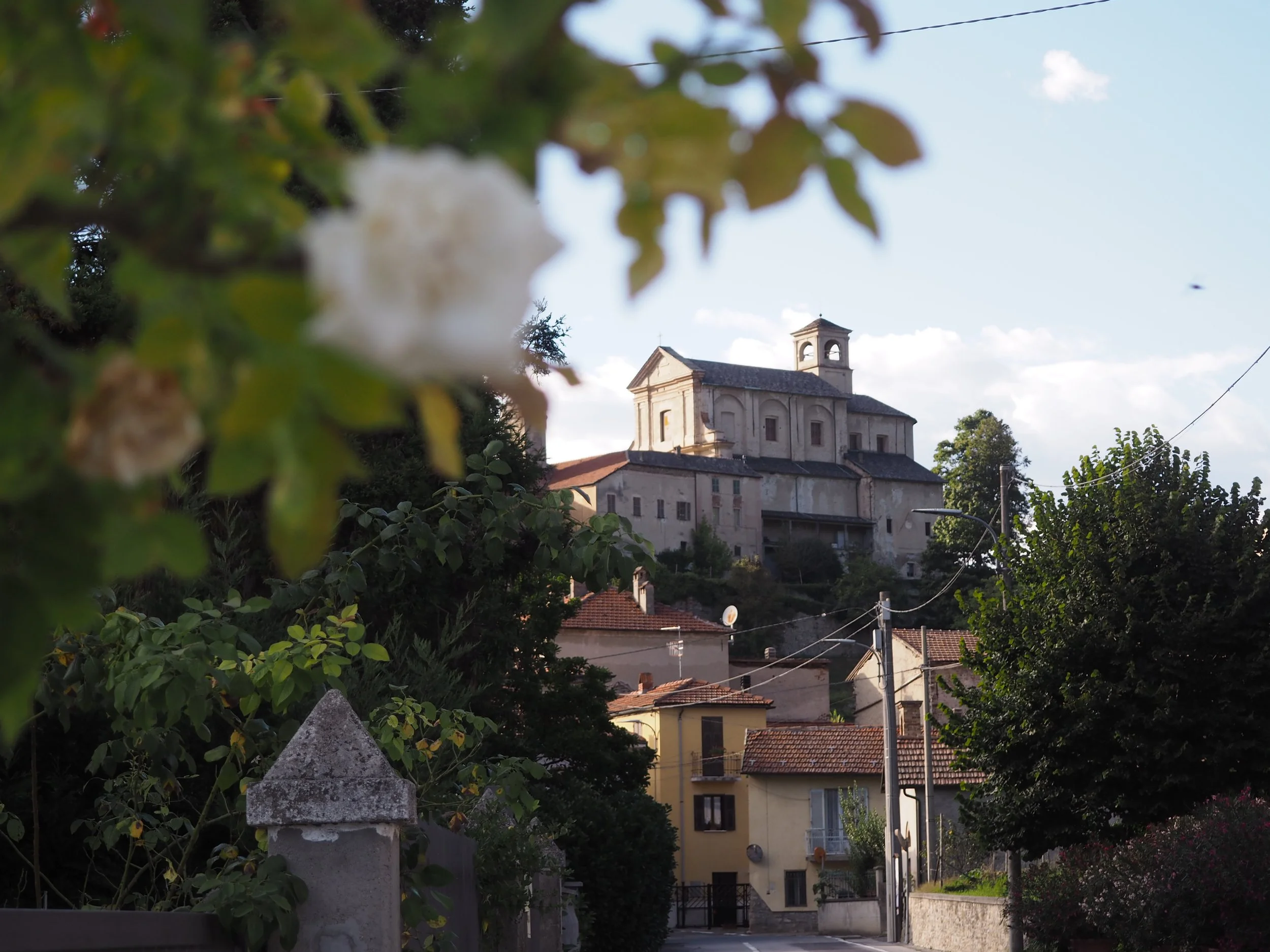 Monesiglio: tre secoli di pittura murale lungo la Bormida Gotica