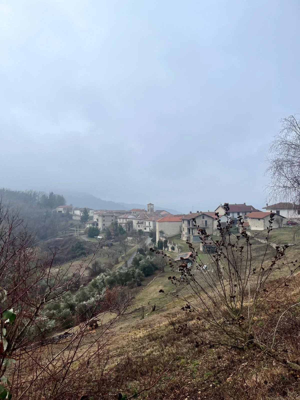 WhatsApp Image 2026-01-26 at 10.32.12 (2).jpeg