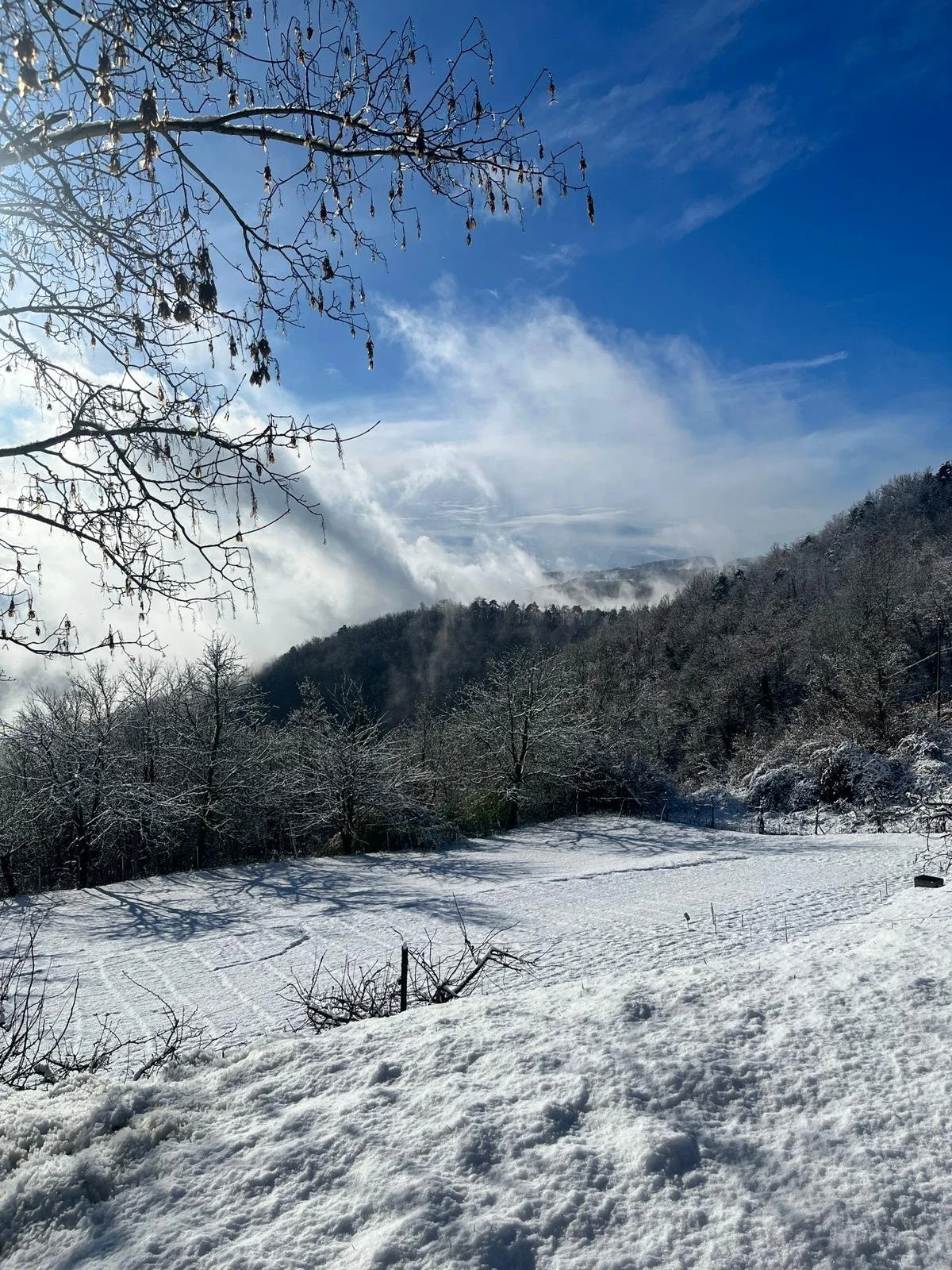 WhatsApp Image 2026-01-26 at 10.32.12 (4).jpeg