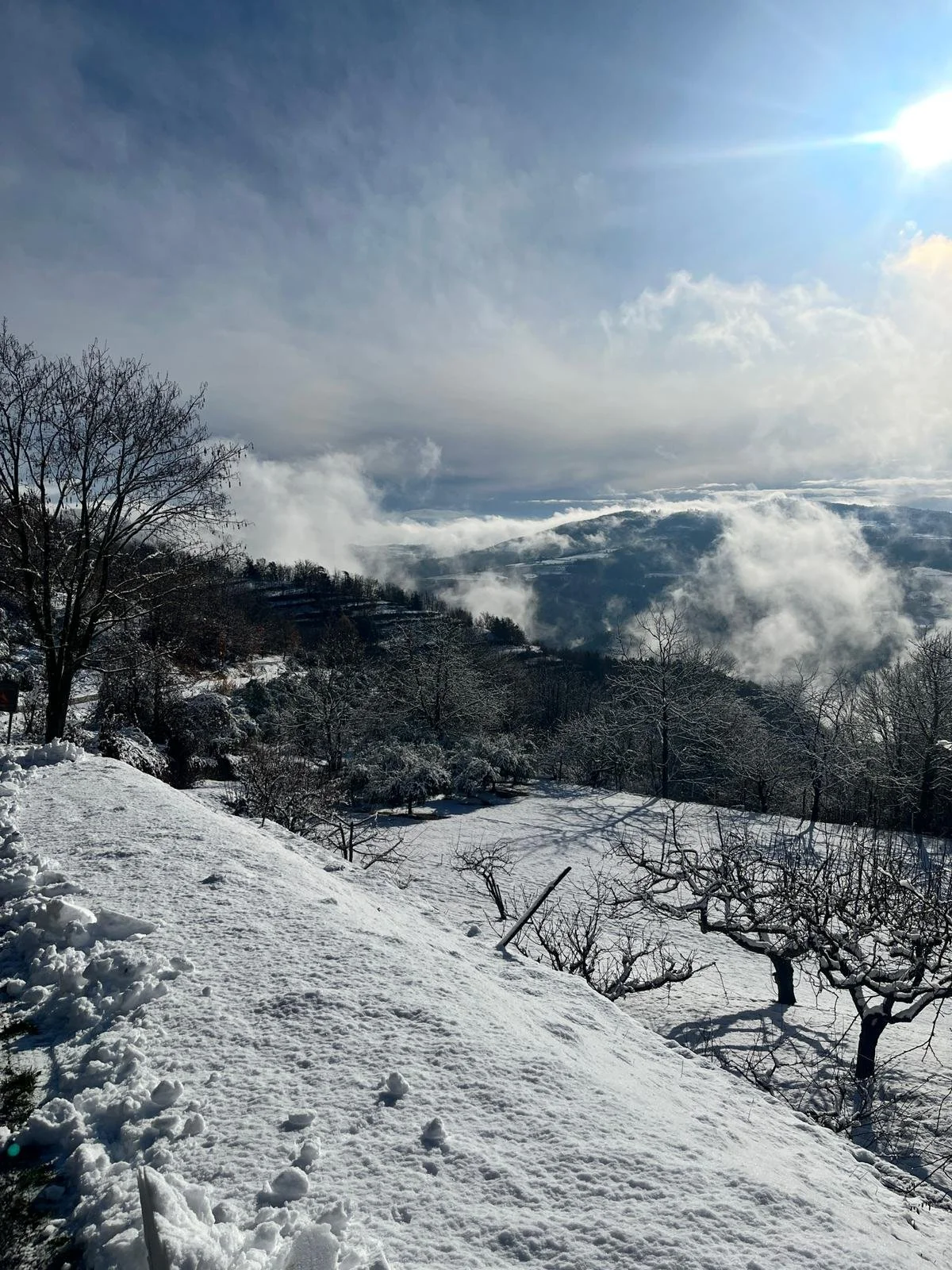 WhatsApp Image 2026-01-26 at 10.32.12.jpeg