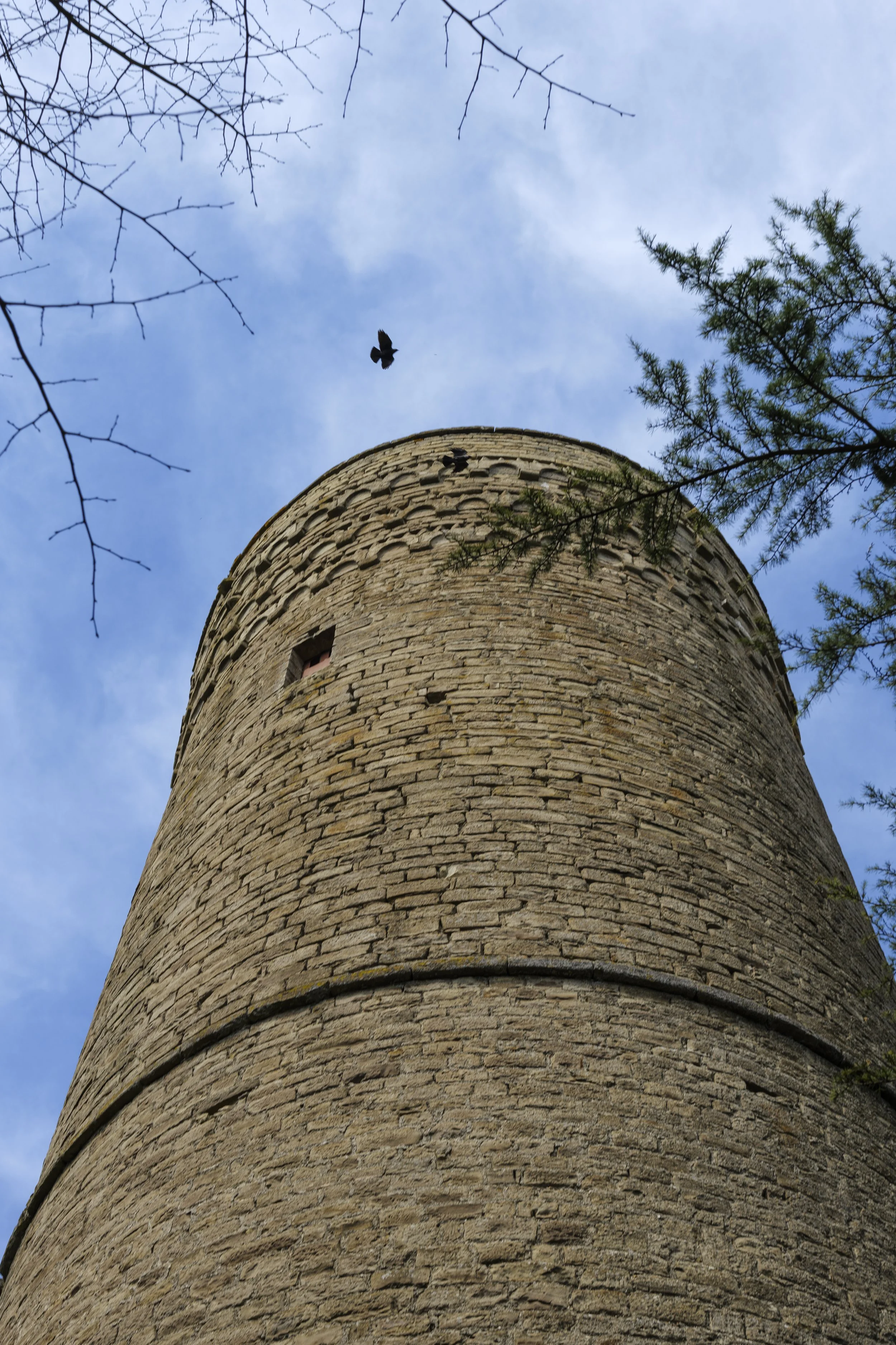 Roccaverano_Torre Medievale_byVesoMiyashita_1.jpg