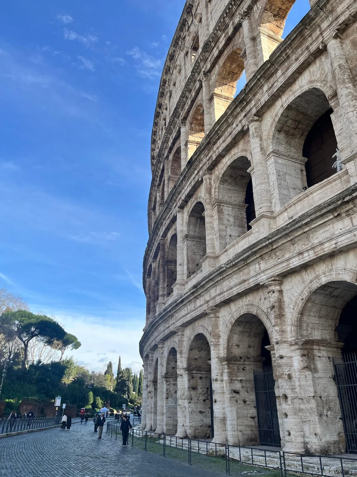 WhatsApp Image 2026-02-18 at 15.27.58 (1).jpeg