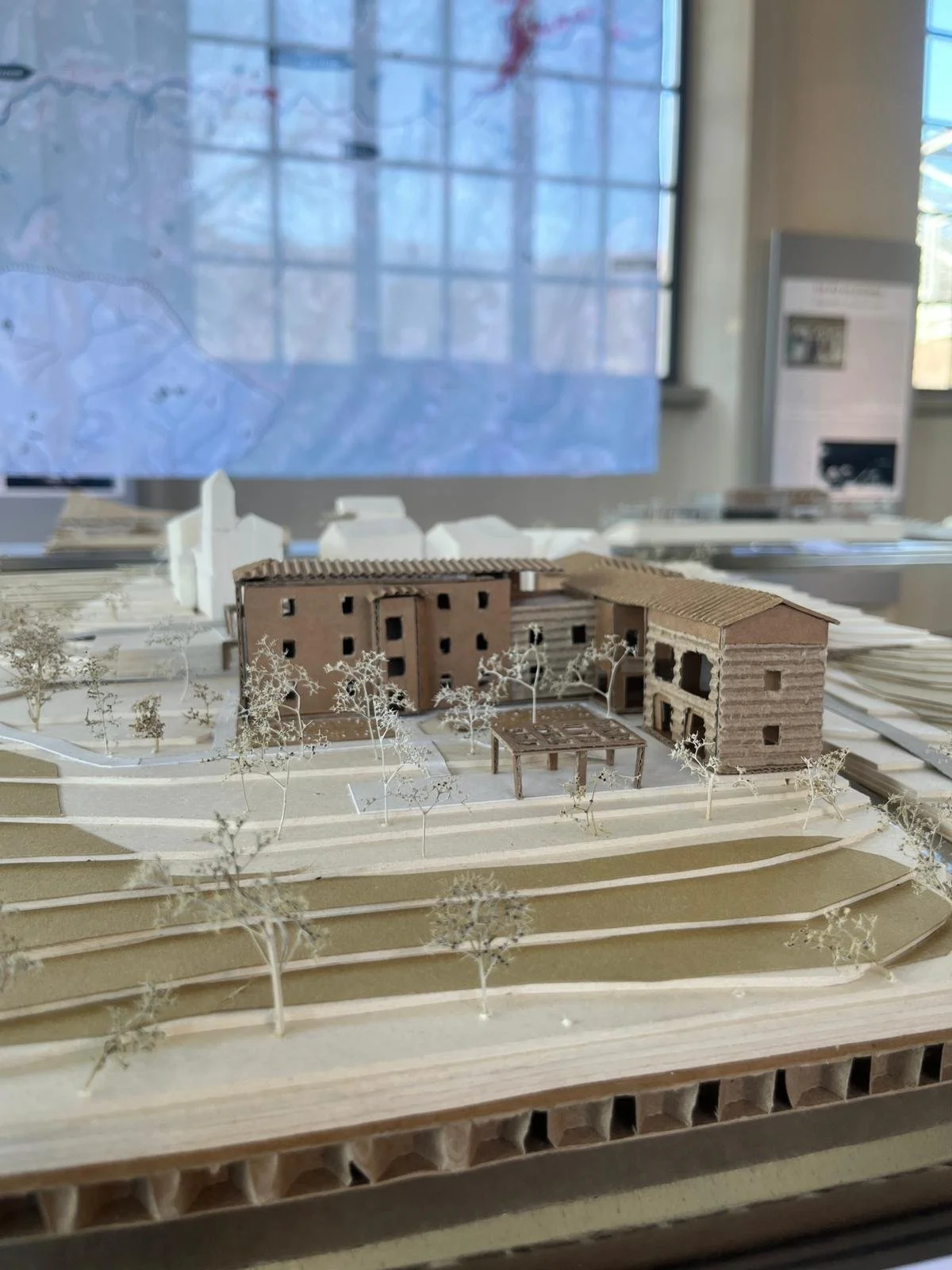 WhatsApp Image 2026-02-22 at 15.27.14 (1).jpeg