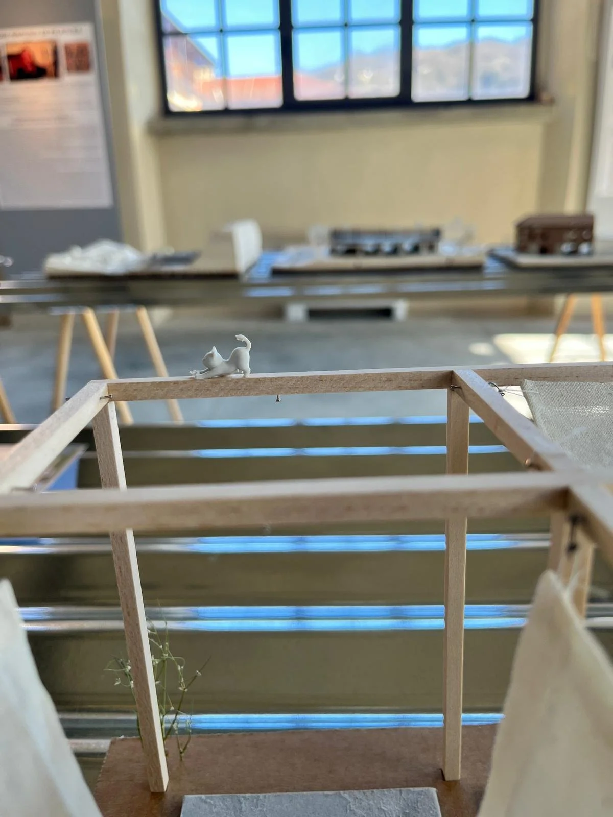 WhatsApp Image 2026-02-22 at 15.27.15.jpeg