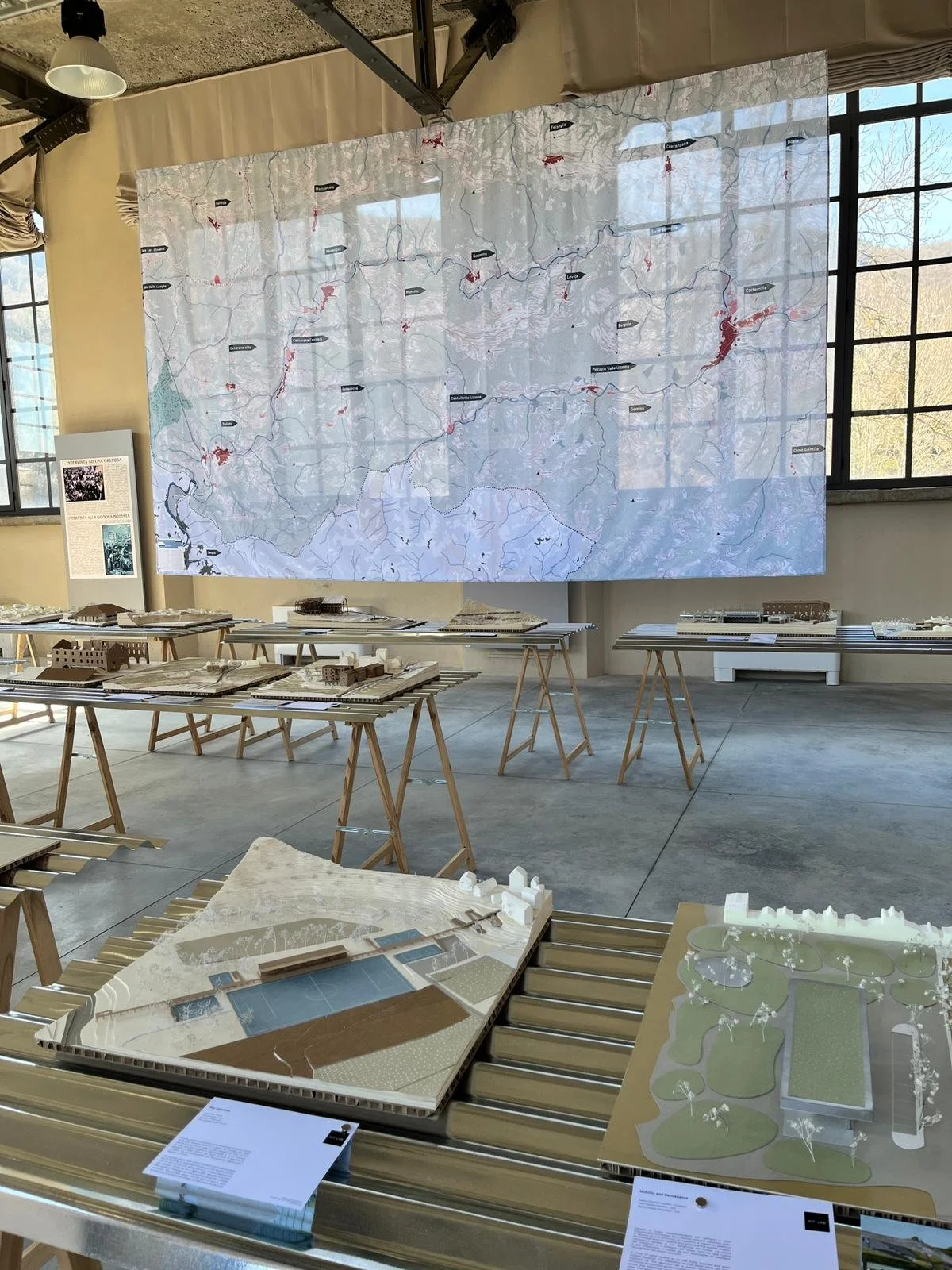 WhatsApp Image 2026-02-22 at 15.27.14.jpeg