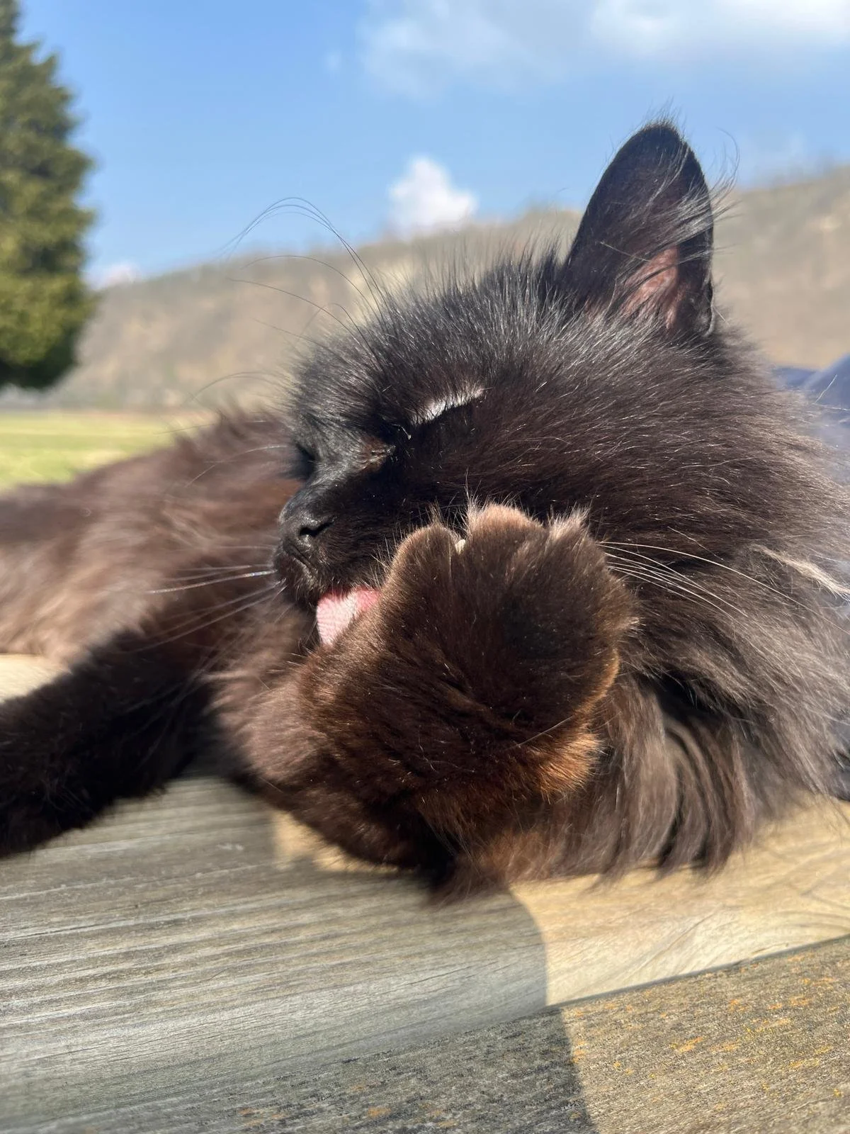 WhatsApp Image 2026-03-09 at 10.10.51 (5).jpeg