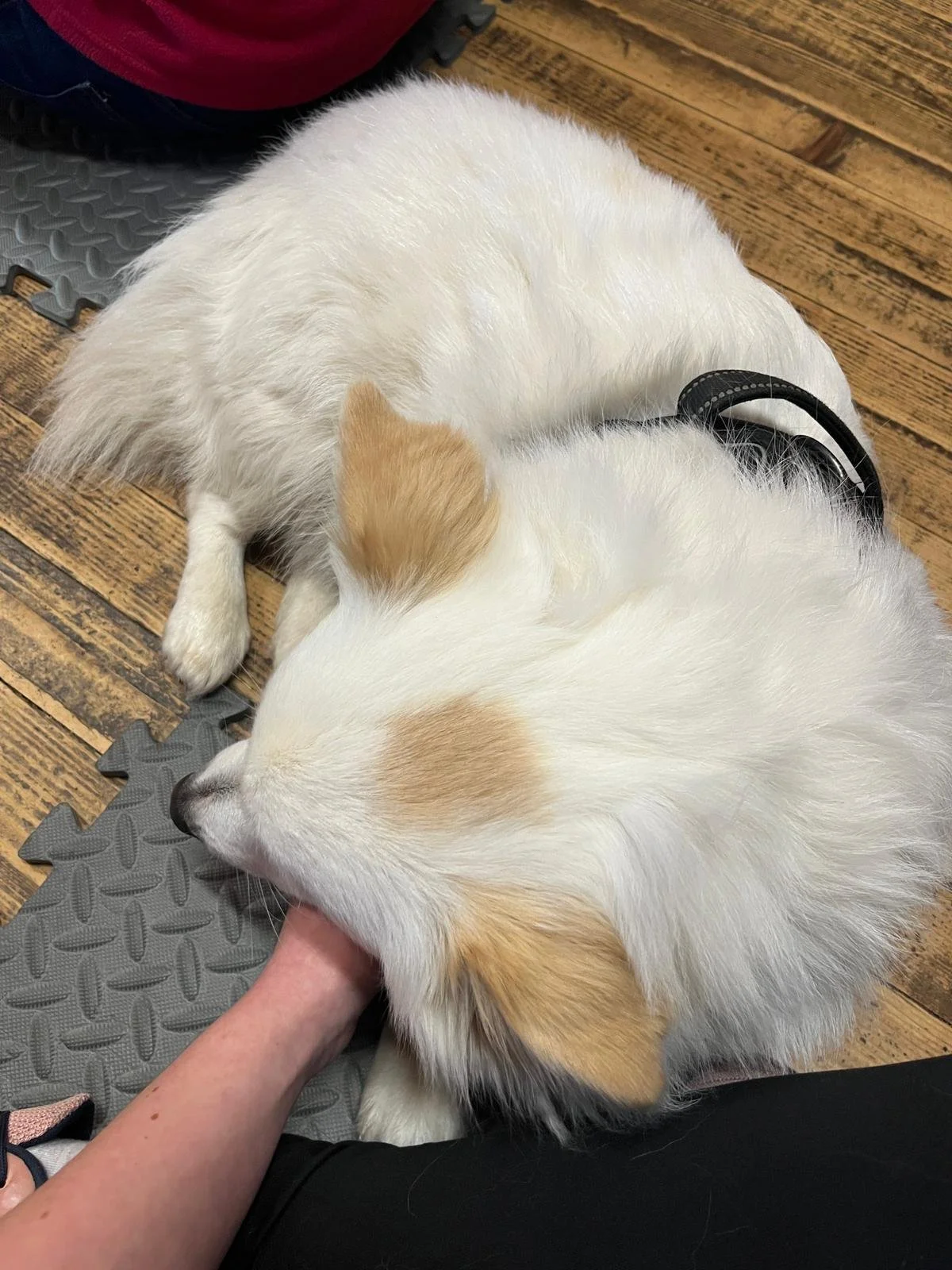 WhatsApp Image 2026-03-09 at 10.10.51.jpeg