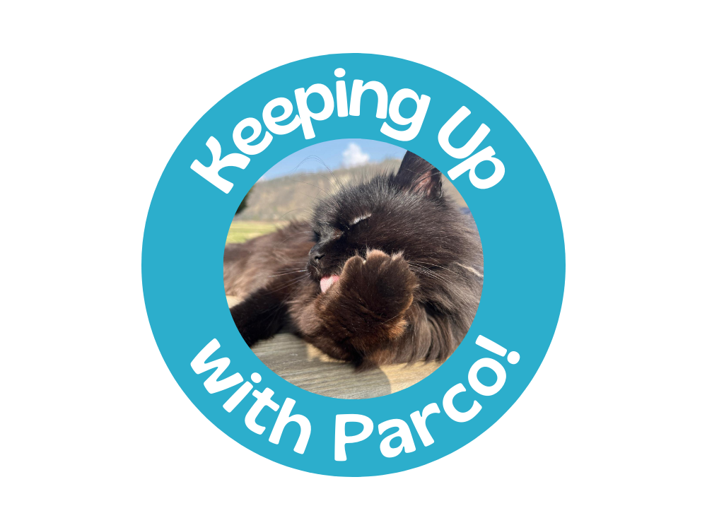 Tra team building, casa di riposo e passeggiate primaverili 🌸