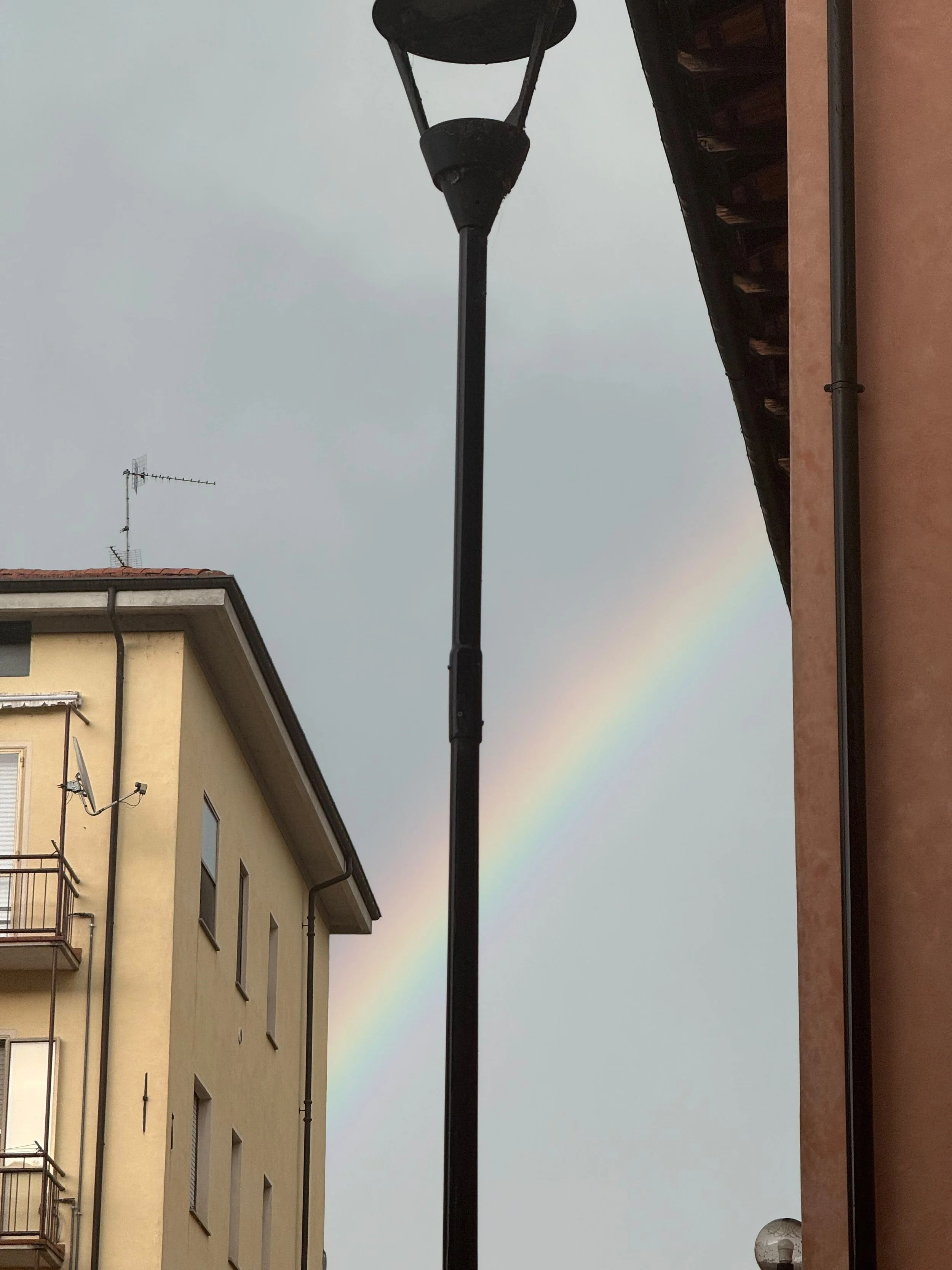de91cc22-b745-4e3a-9a86-66b94435d57f.jpg