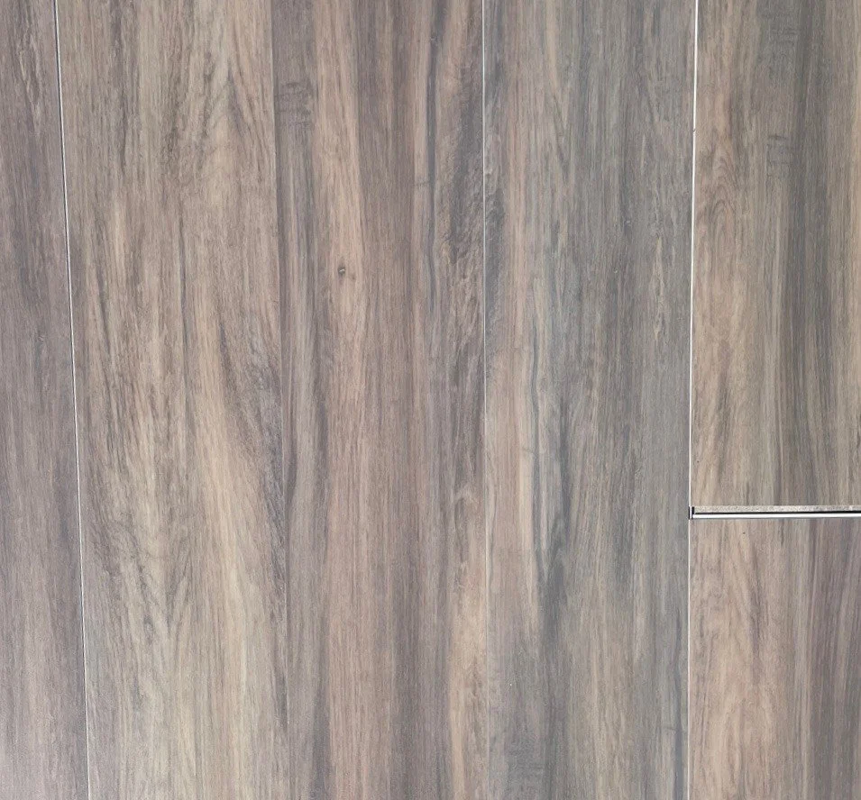 LOT#6 - Forested