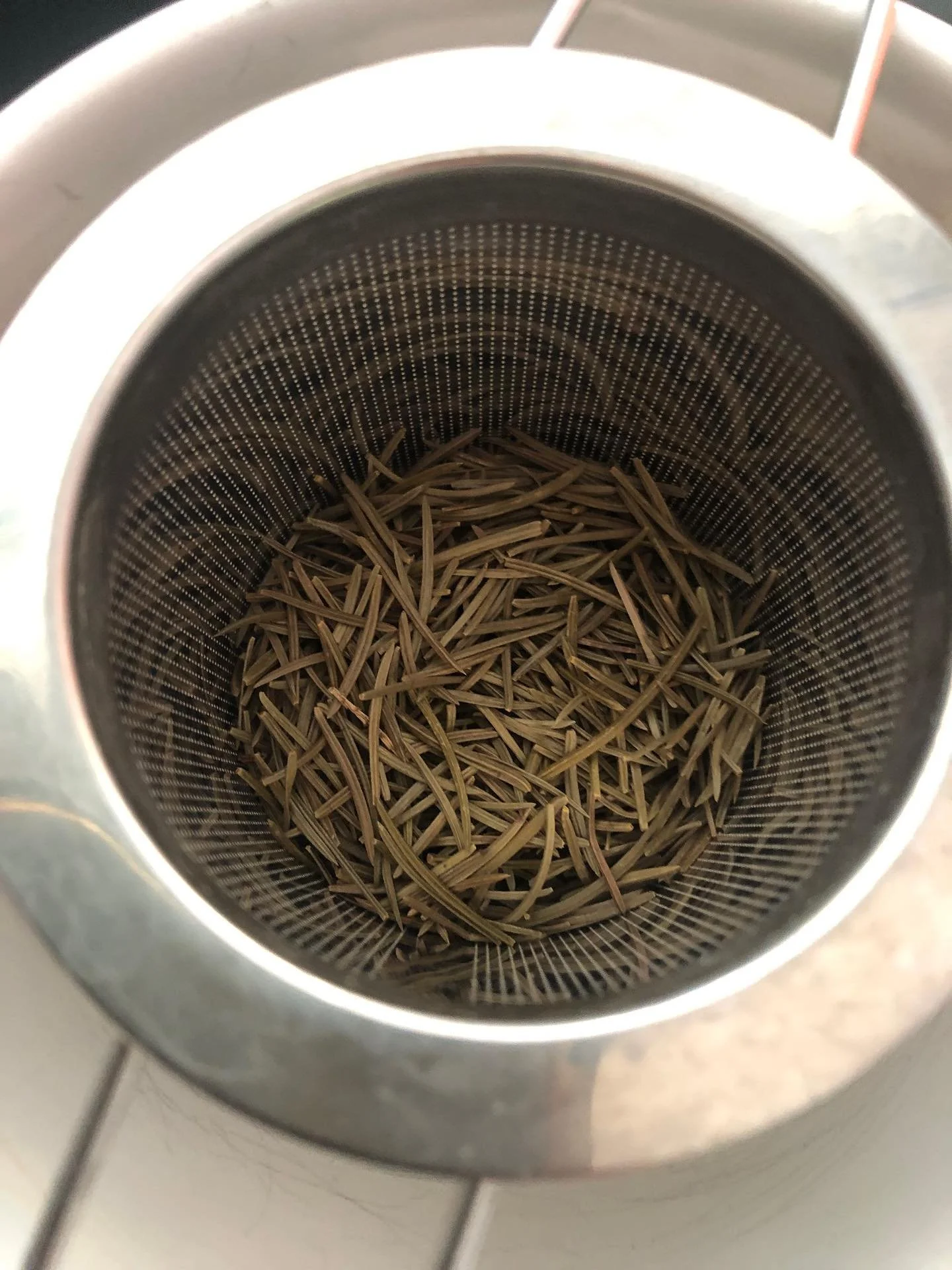 Pine Needle Tea. Extra good on a cold Florida day! A great source of Shikimic acid - look it up. So good for you!