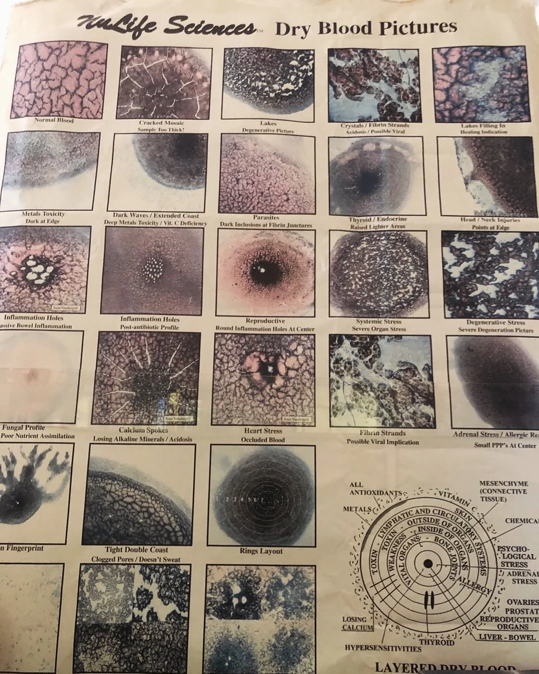 The story of your life is held in your blood.