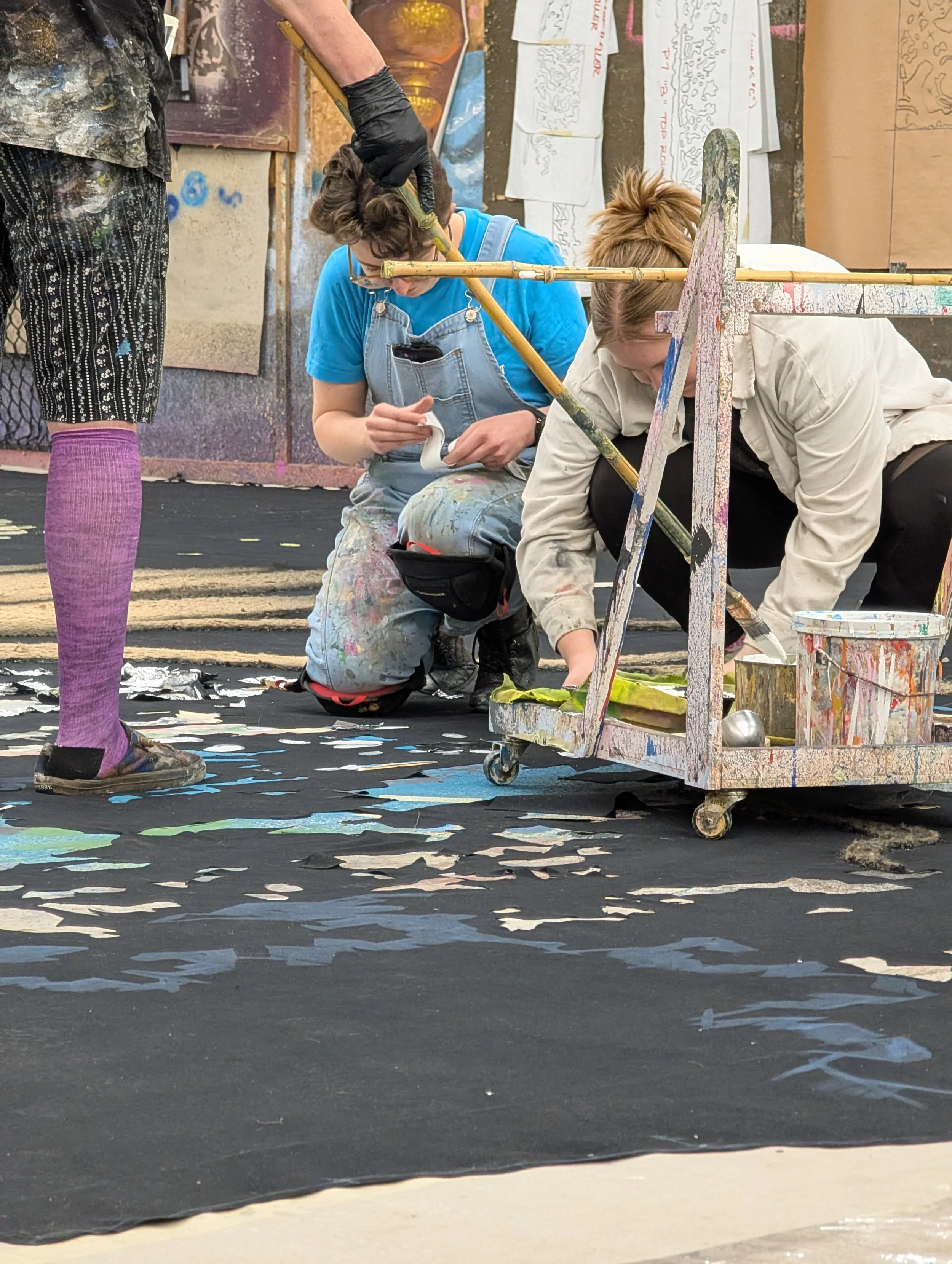 Austin City Ballet- Black Velor Drop With Sliver Leaf Sprinkled Across To Looks Like Leaves In The Tree And Around The Branches And Trunk 
