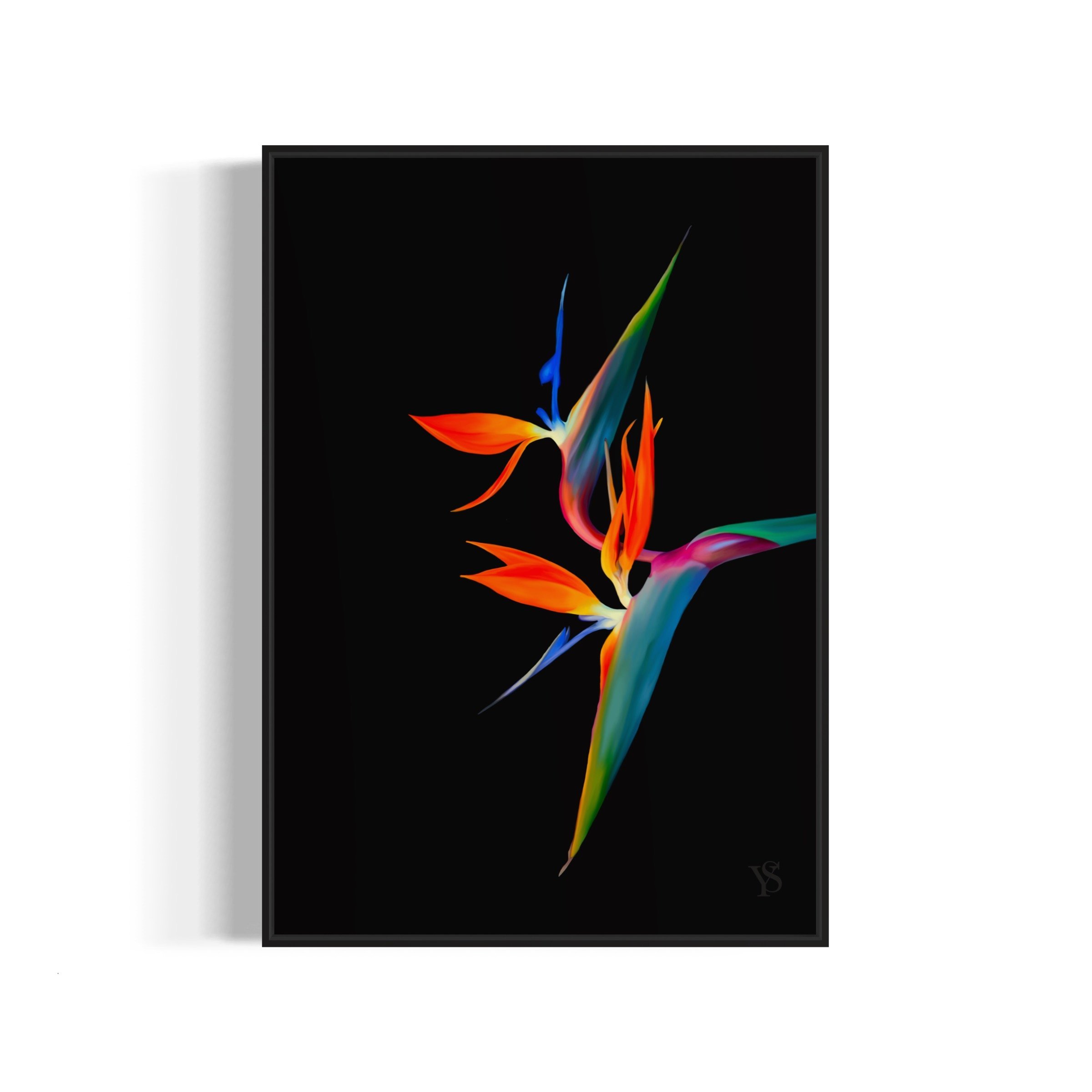 Birds Of Paradise
