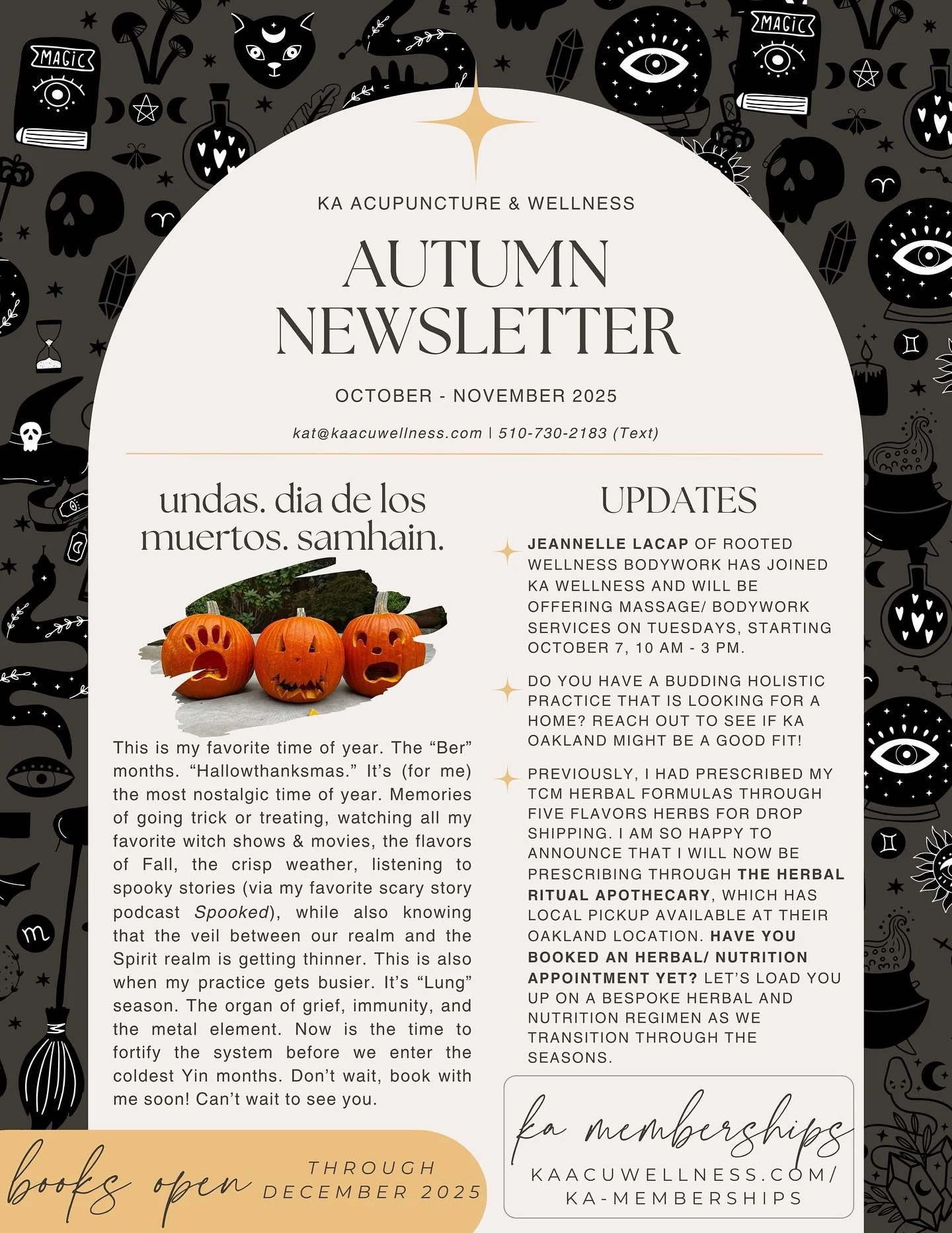 These newsletters take me all flippin day to design and write. Amuse me by double tapping and acknowledging my effort.