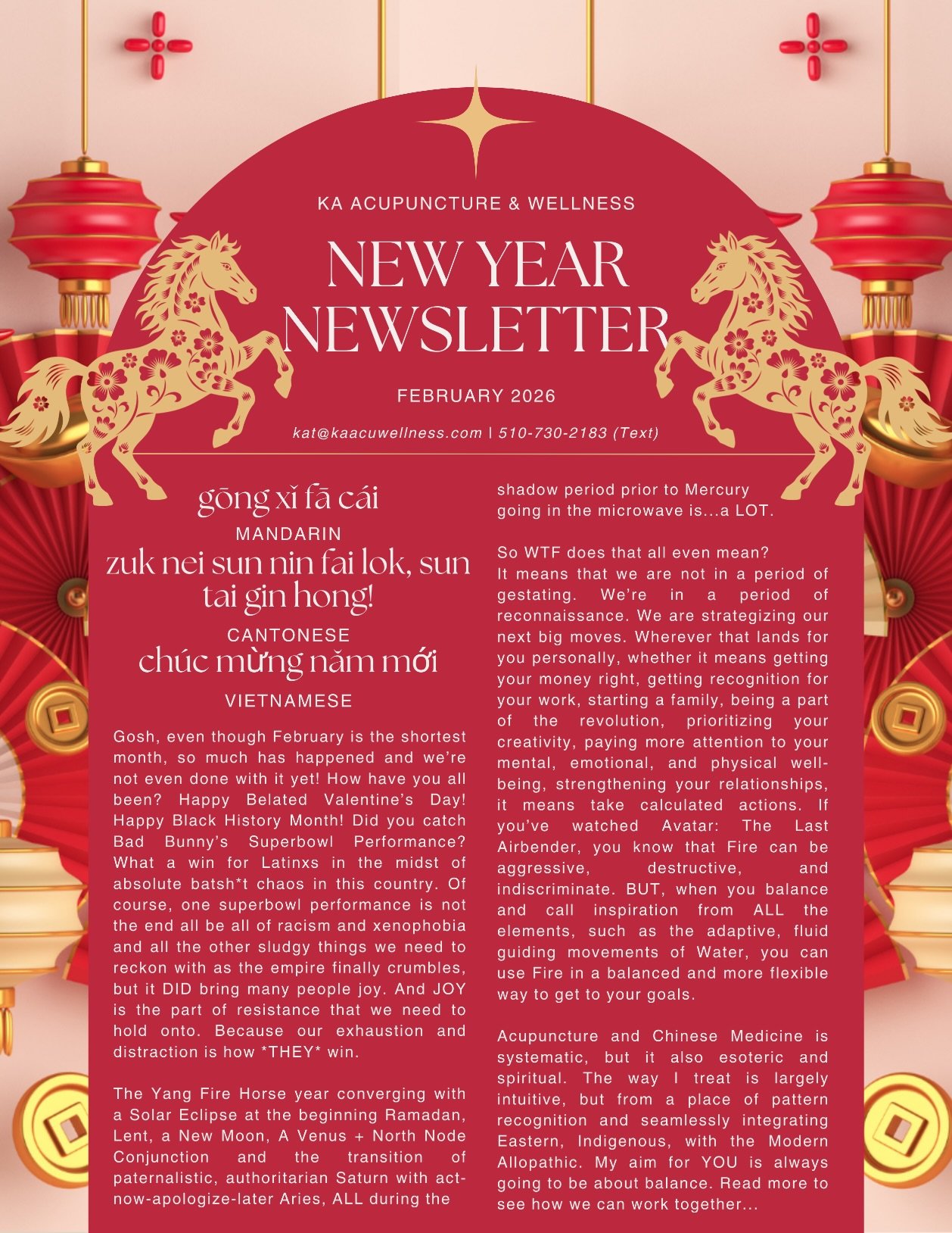 New Newsletter! 🥰