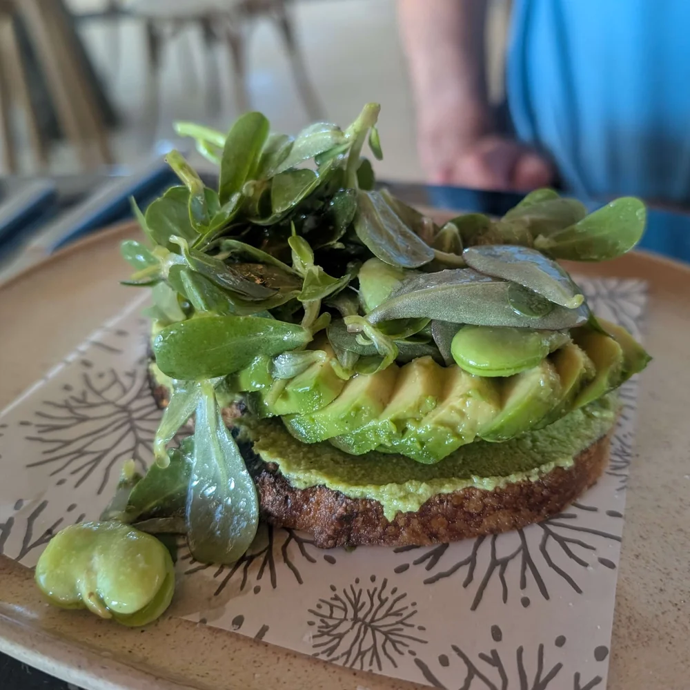 Impression_Moxche_Secrets_Seaside_Avocado_Toast_FreshCruiser.jpg